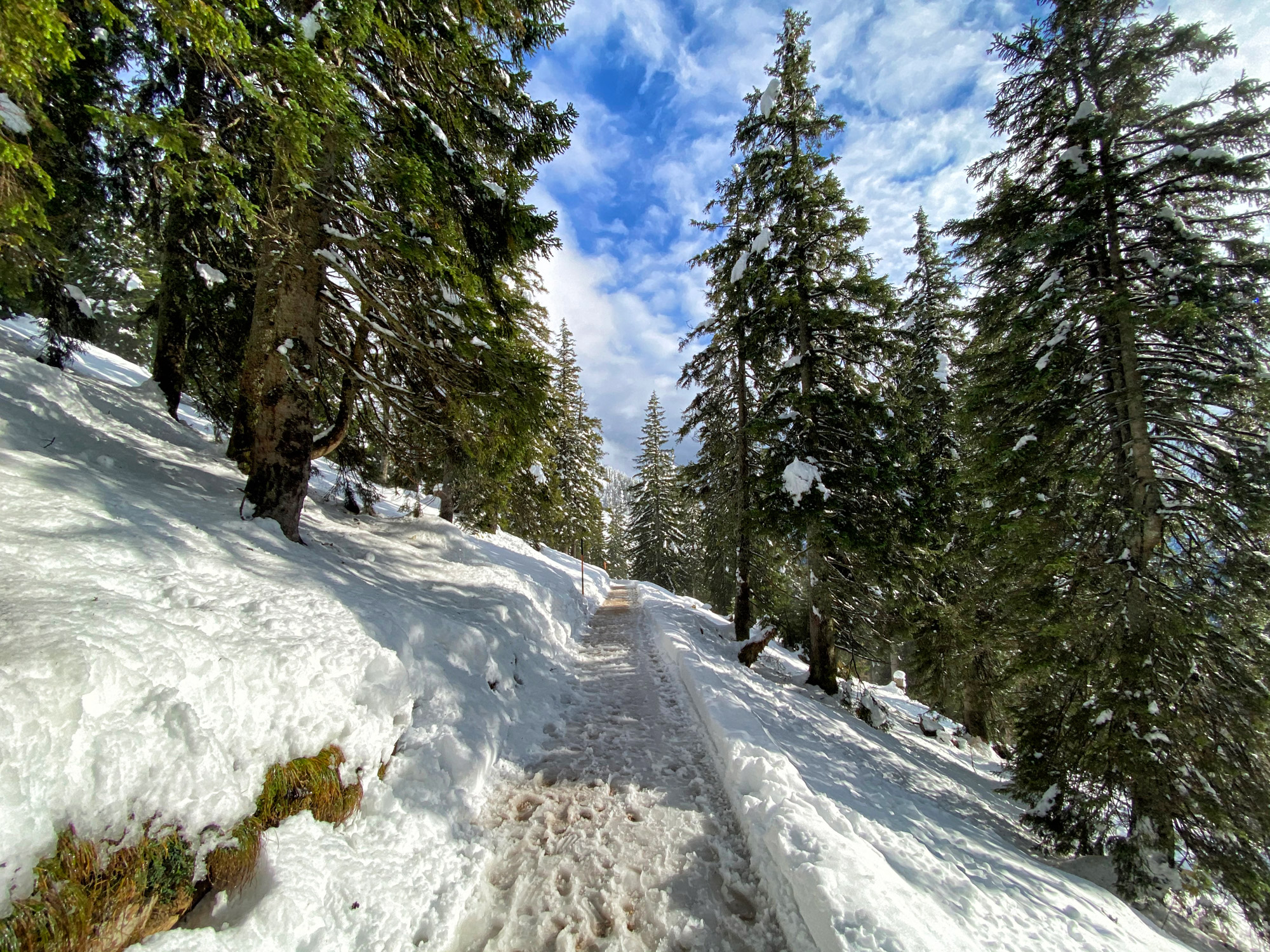 Berchtesgadener Land - Predigtstuhl