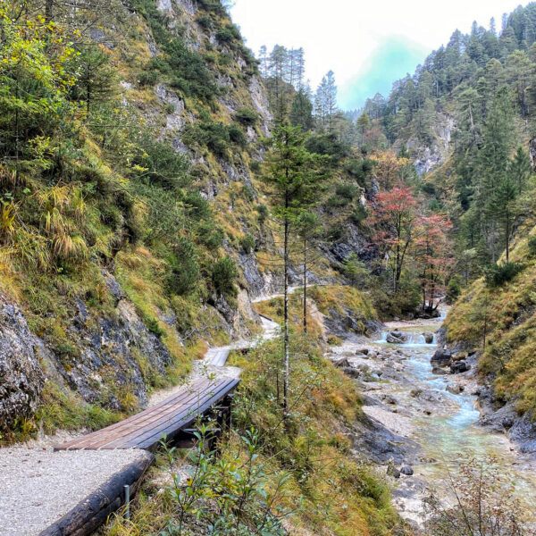 Foto van de maand Oktober 2020 - Almbachklamm