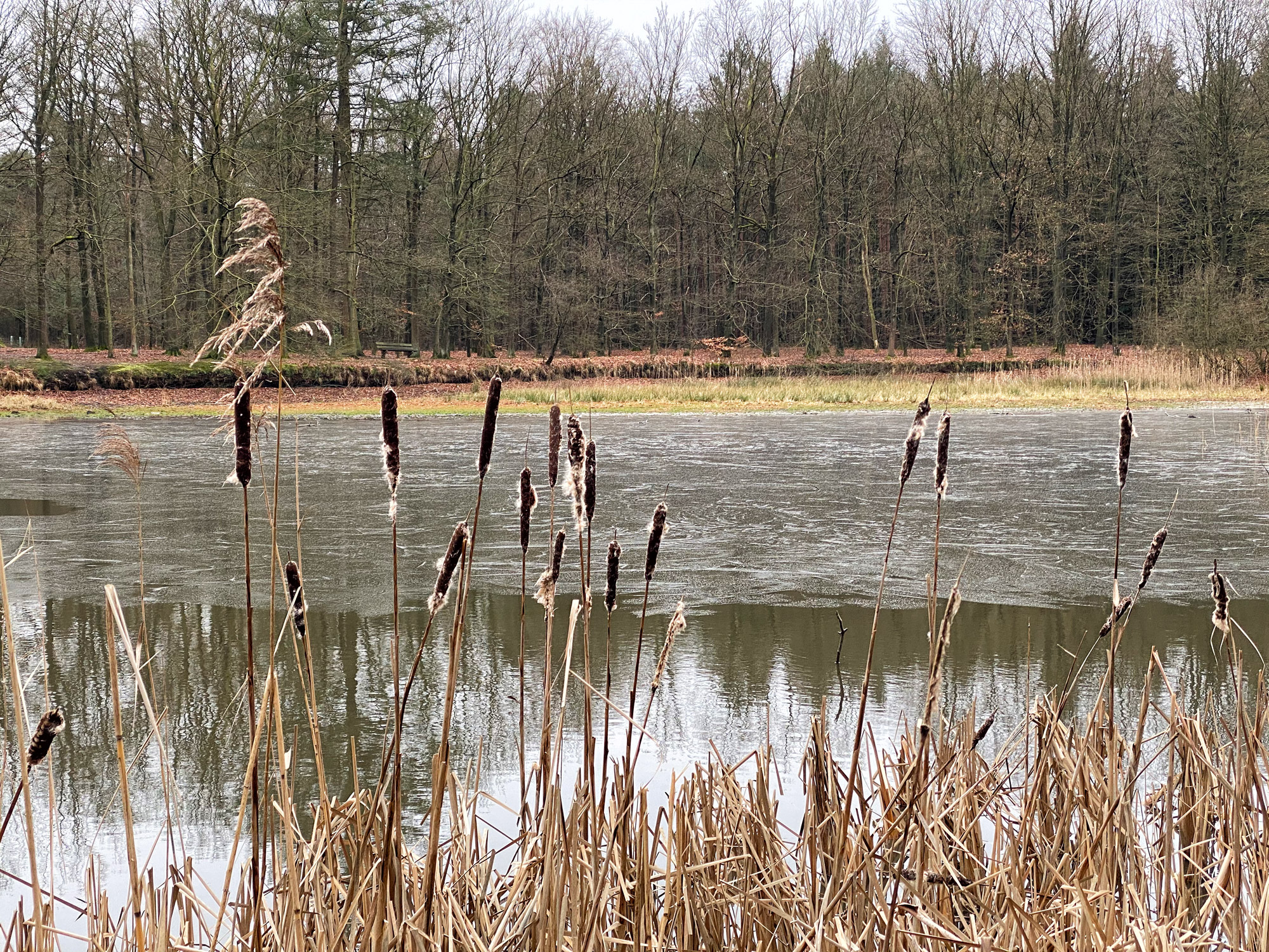 Wandelen in Noord-Brabant: Boswachterij de Kempen