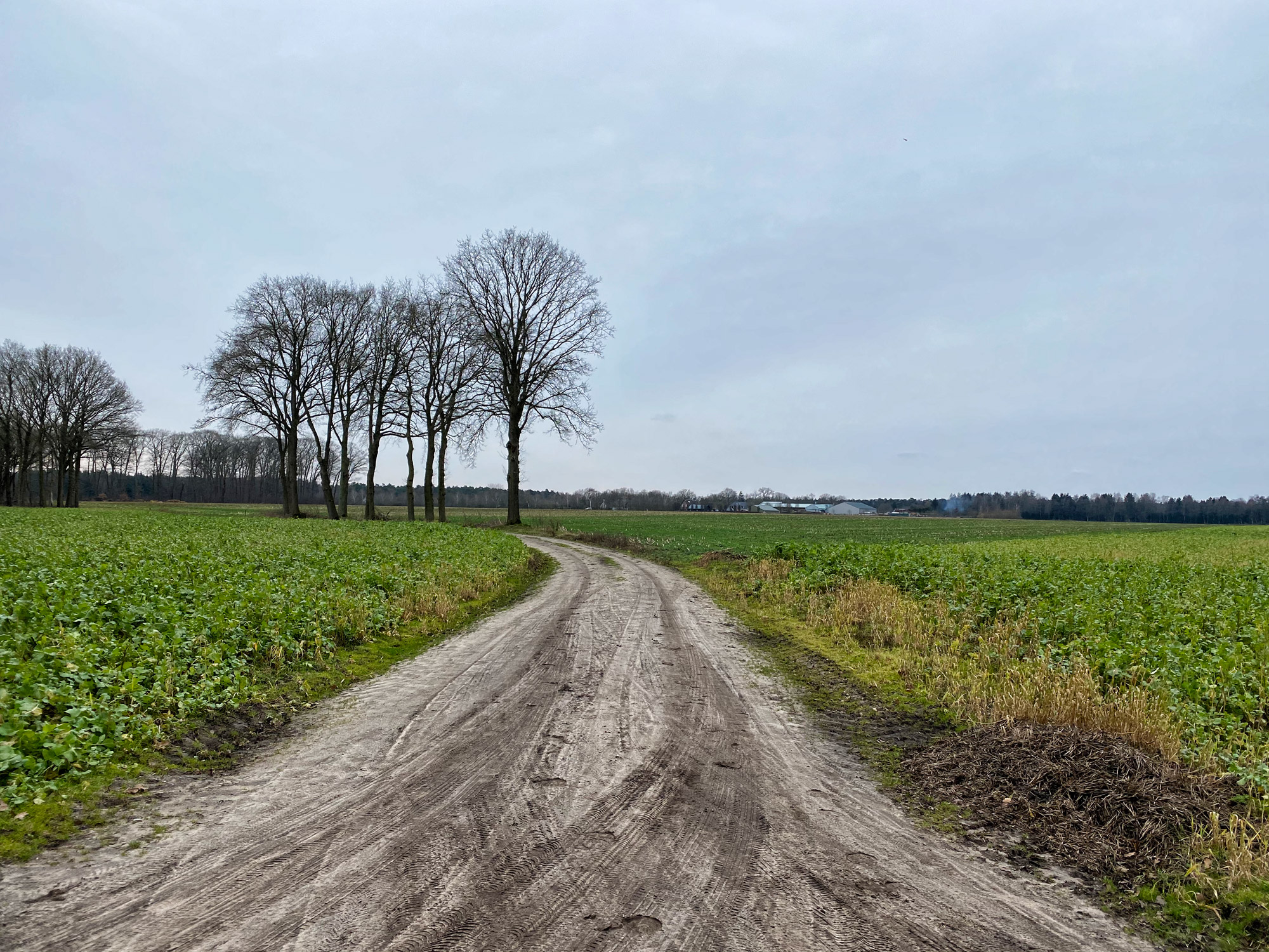 Wandelen in Noord-Brabant: Boswachterij de Kempen