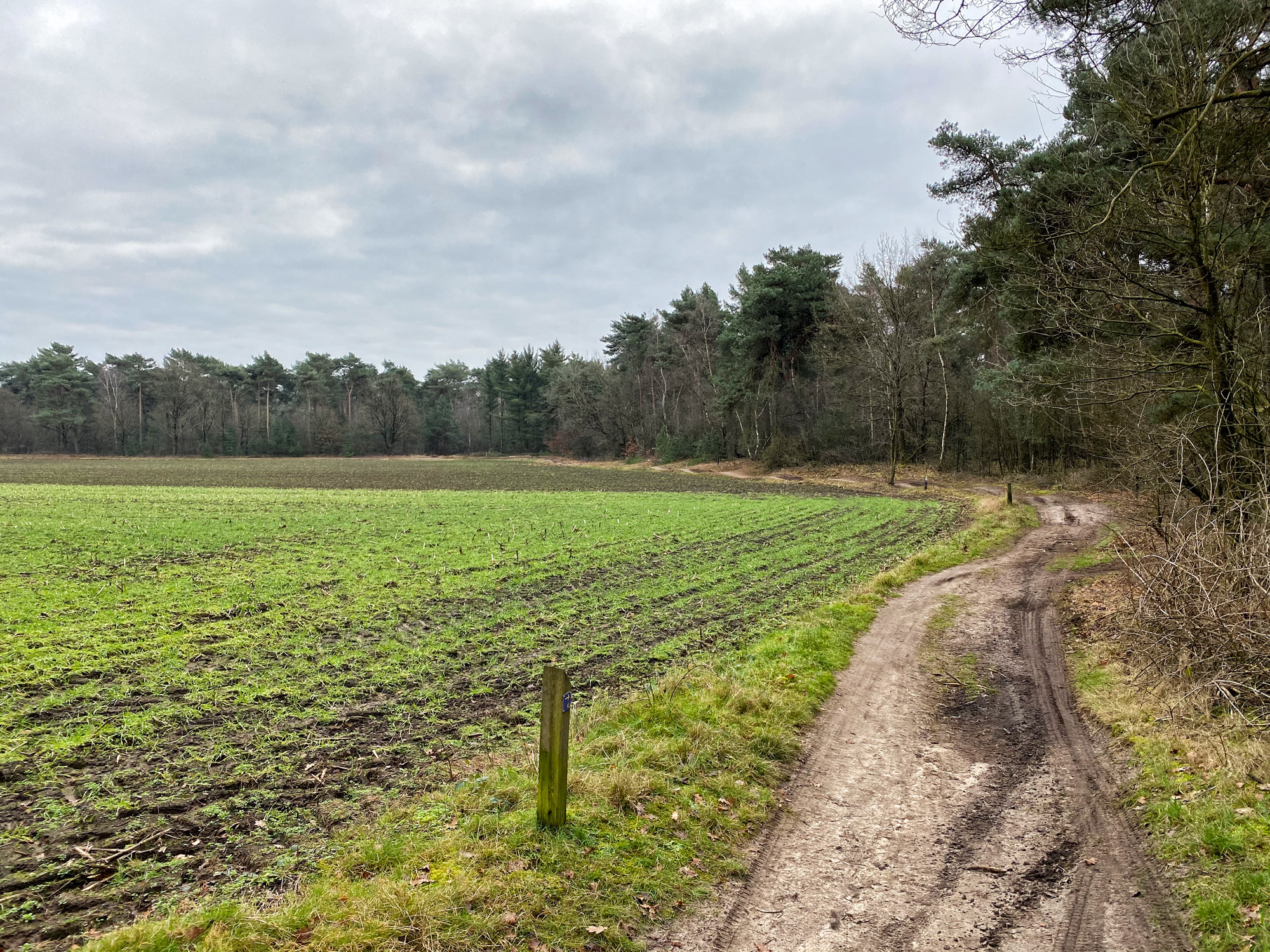 Wandelen in Noord-Brabant: Boswachterij de Kempen