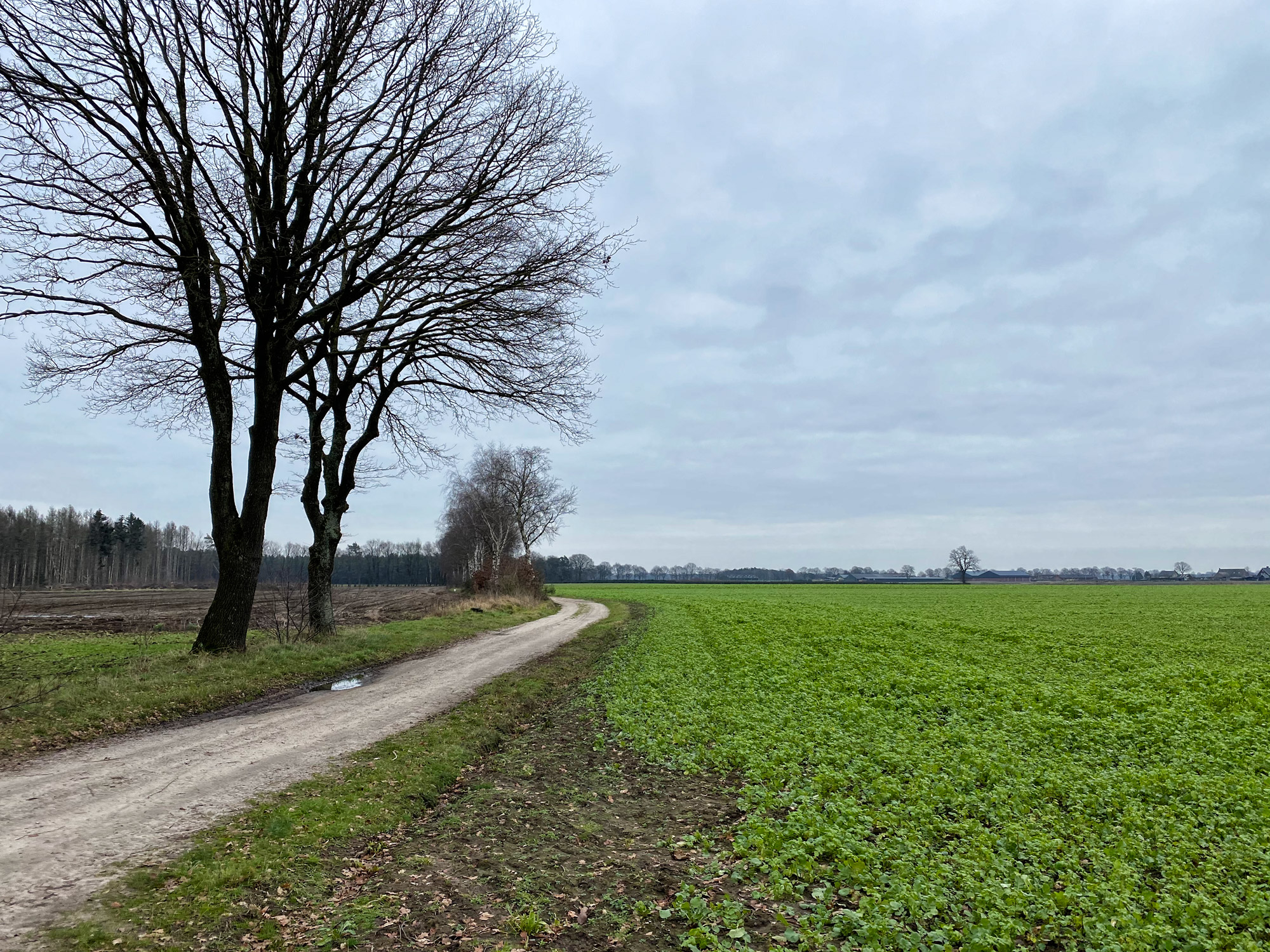 Wandelen in Noord-Brabant: Boswachterij de Kempen