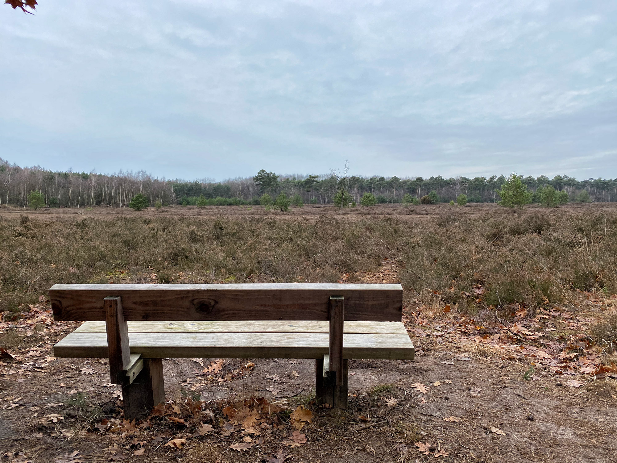 Wandelen in Noord-Brabant: Boswachterij de Kempen