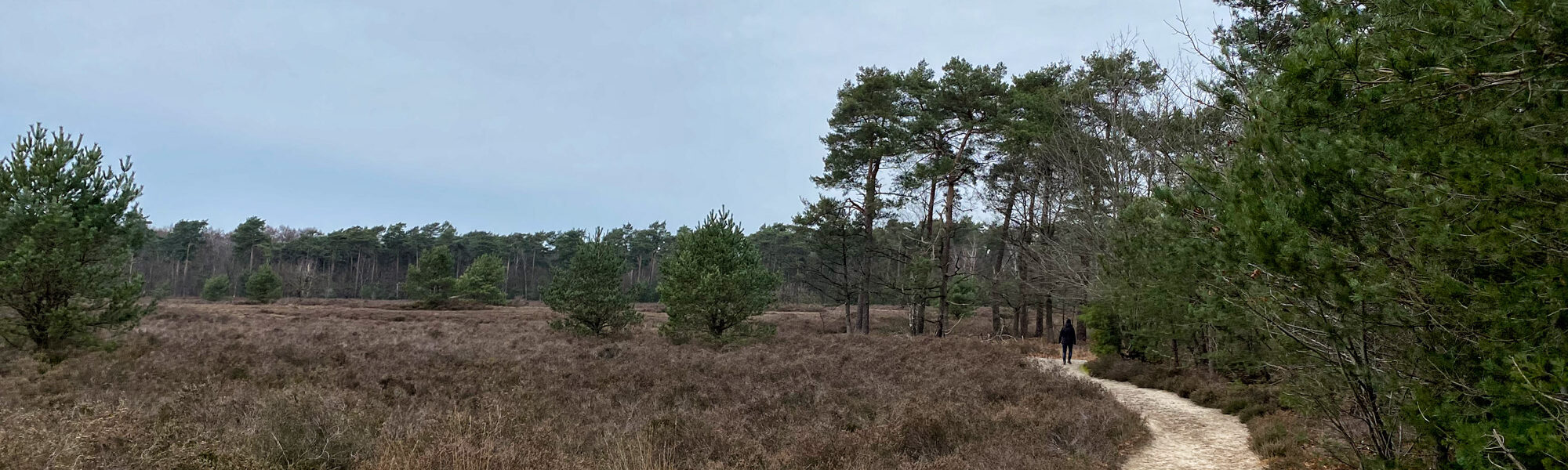 Wandelen in Noord-Brabant: Boswachterij de Kempen