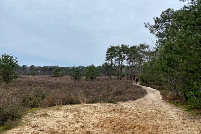 Wandelen in Noord-Brabant: Boswachterij de Kempen