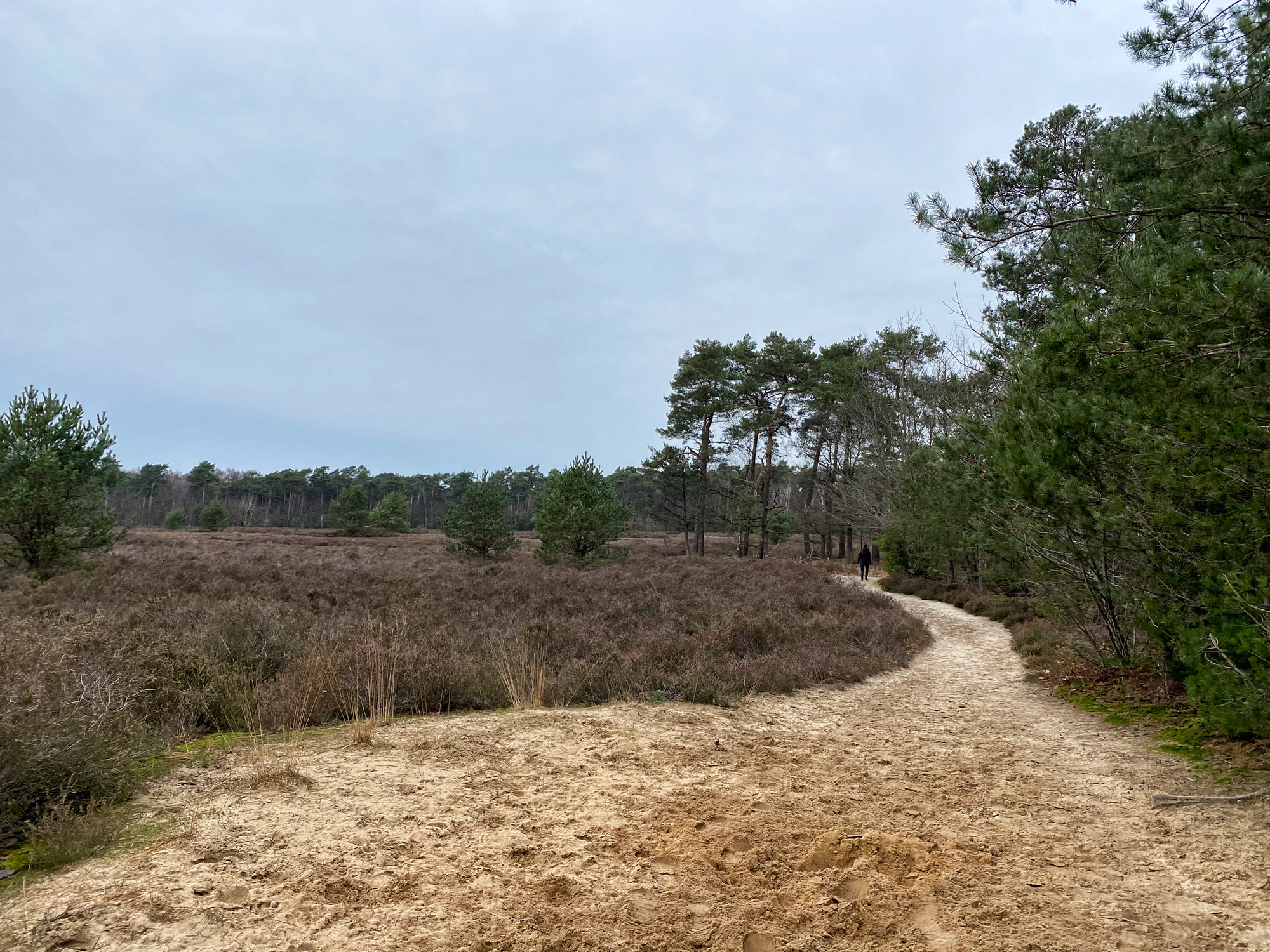 Wandelen in Noord-Brabant: Boswachterij de Kempen