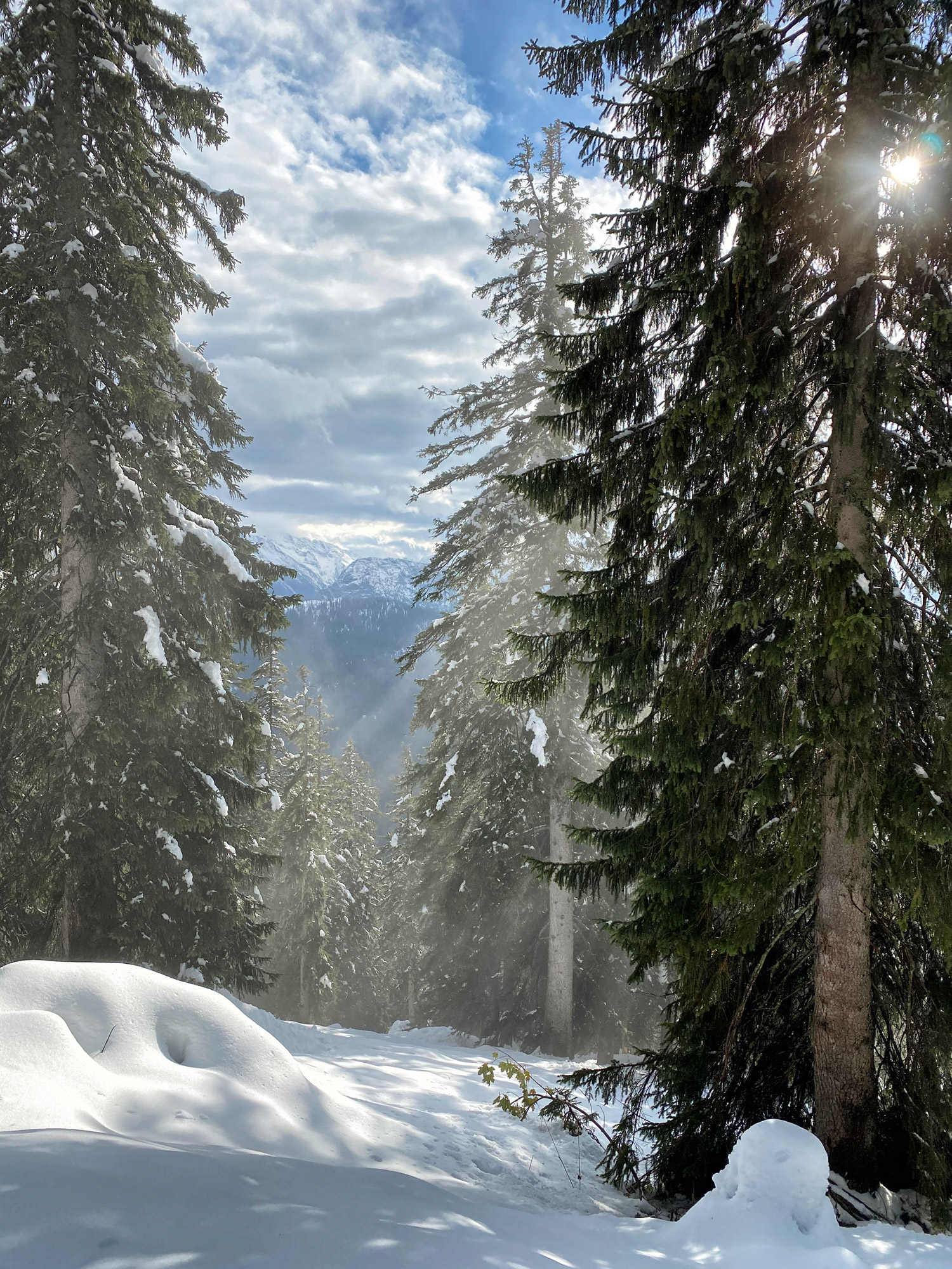 Doen in Berchtesgadener Land: Naar de top van de Predigtstuhl