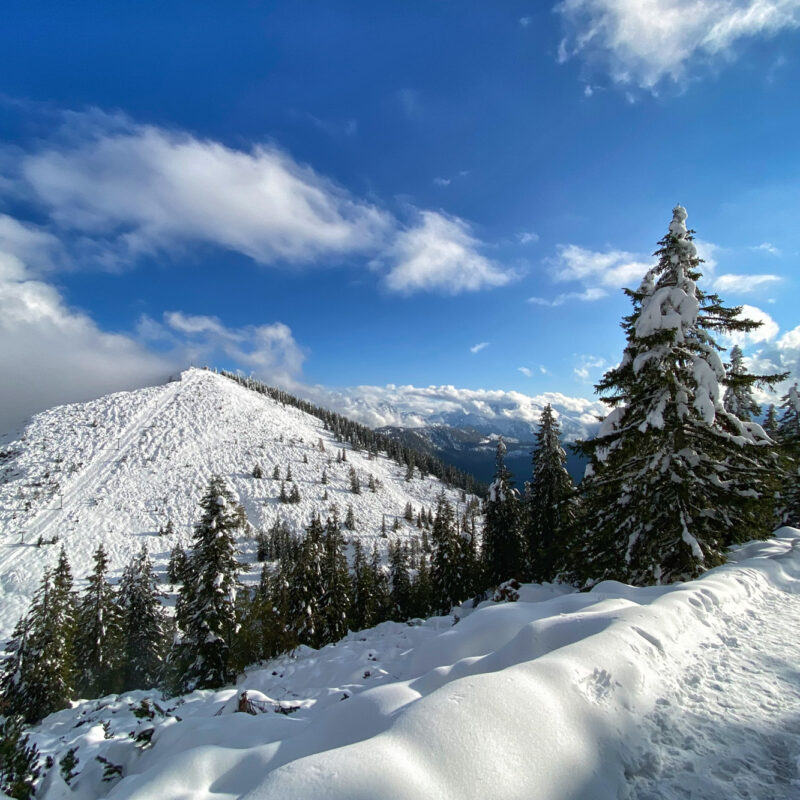 Doen in Berchtesgadener Land: Naar de top van de Predigtstuhl