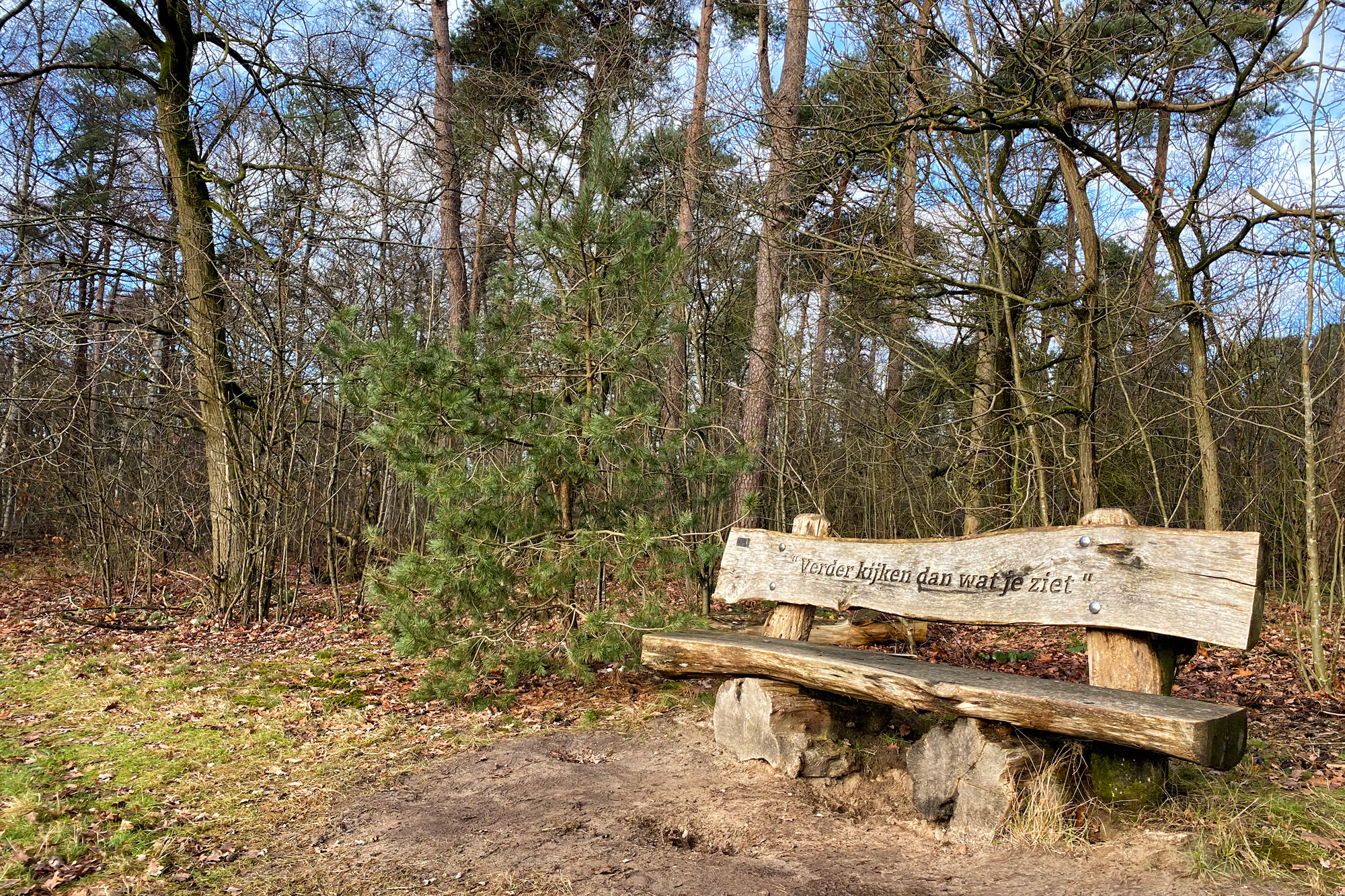 Wandelen in Noord-Brabant: Oirschotse Bossen en Vennen