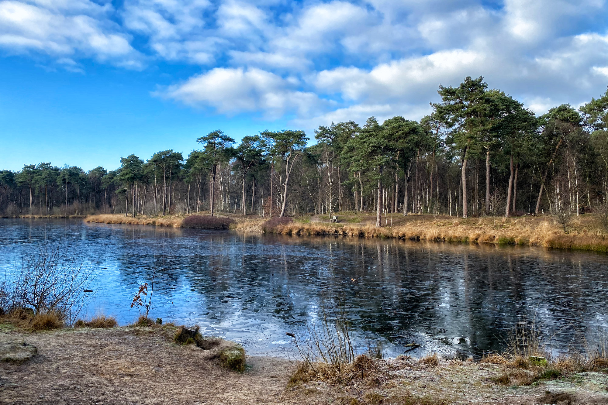 Wandelen in Noord-Brabant: Oirschotse Bossen en Vennen