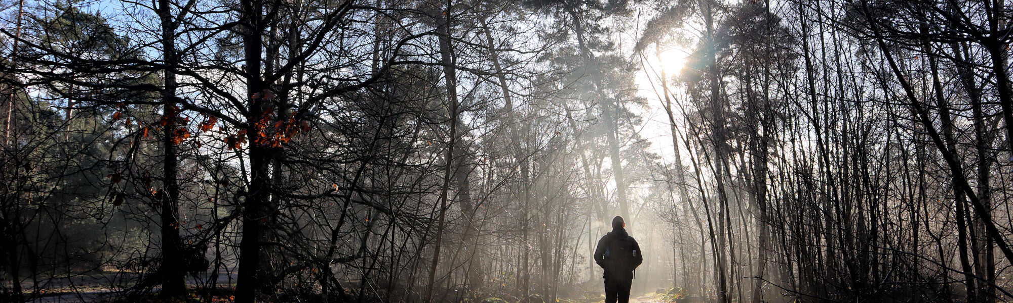 Wandelen in Noord-Brabant: Oirschotse Bossen en Vennen