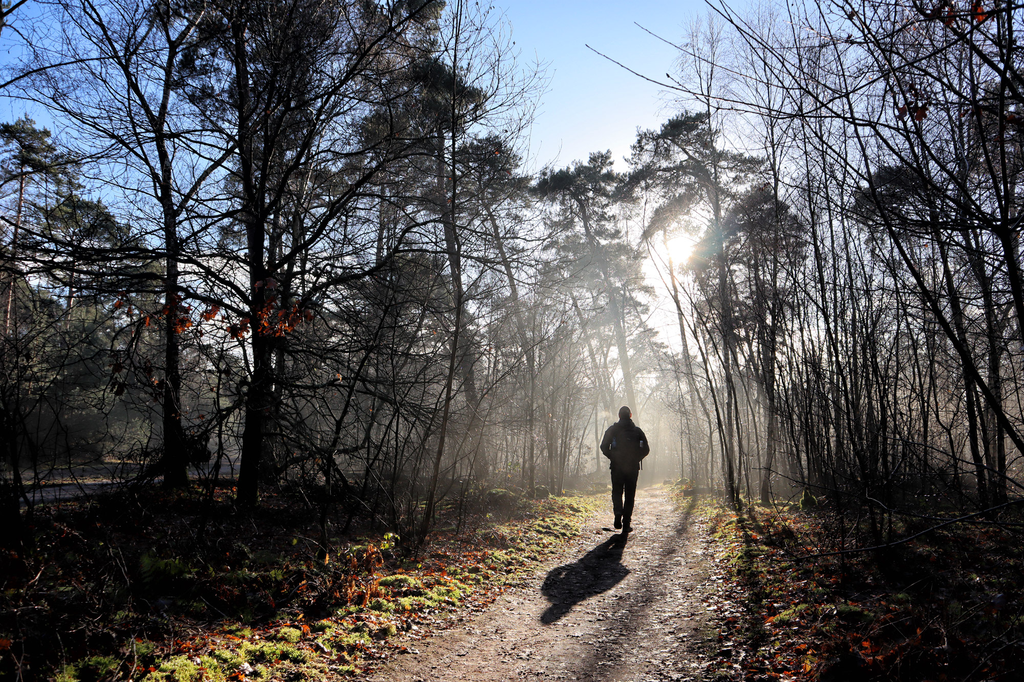 Wandelen in Noord-Brabant: Oirschotse Bossen en Vennen