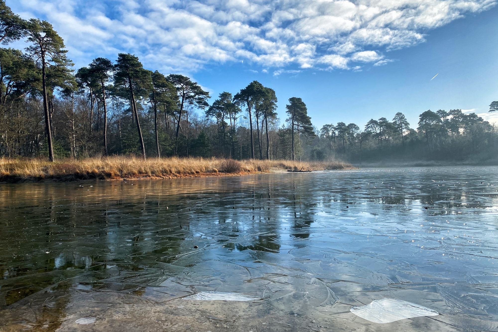 Wandelen in Noord-Brabant: Oirschotse Bossen en Vennen