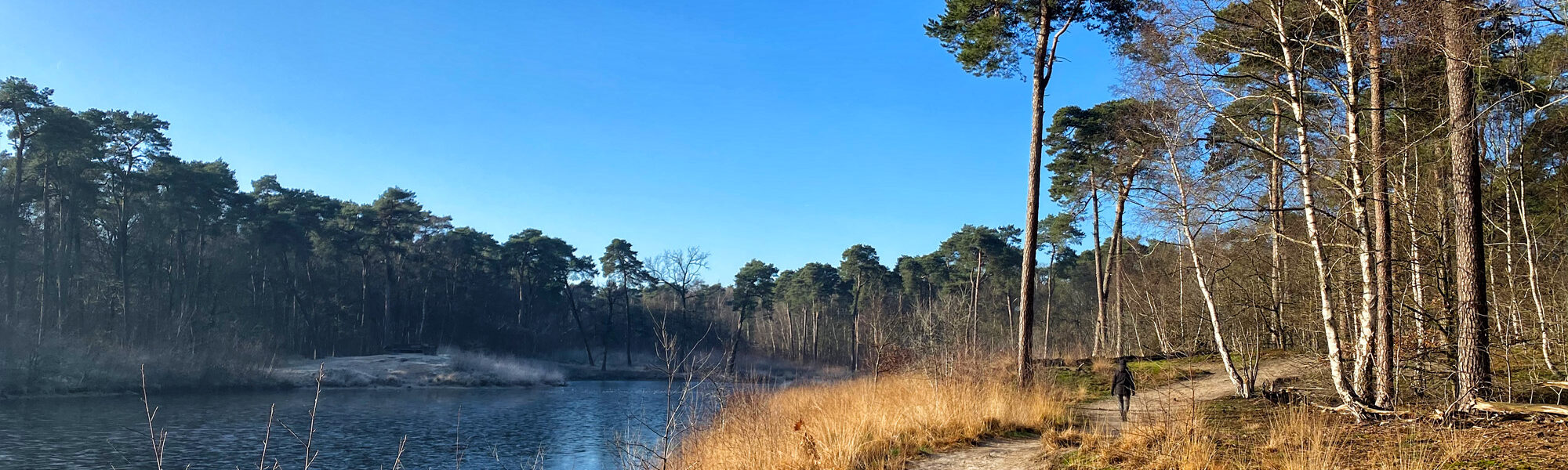 Wandelen in Noord-Brabant: Oirschotse Bossen en Vennen