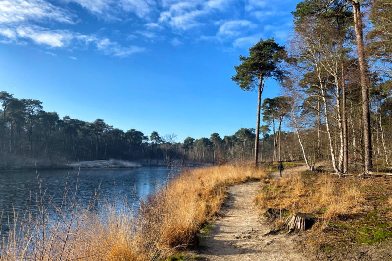 Wandelen in Noord-Brabant: Oirschotse Bossen en Vennen