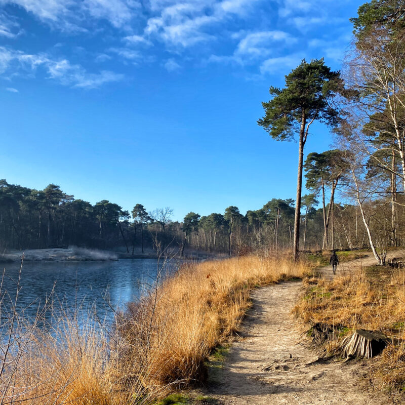 Wandelen in Noord-Brabant: Oisterwijkse Bossen en Vennen