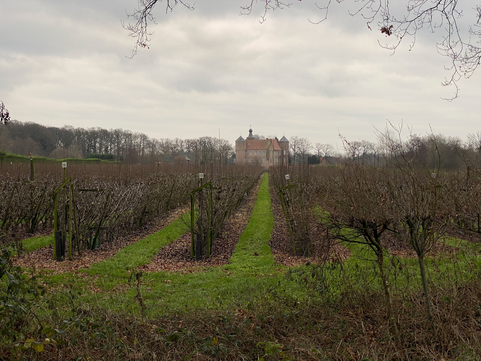 Wandelen in Noord-Brabant: Stiphoutse Bossen en langs de Goorloop