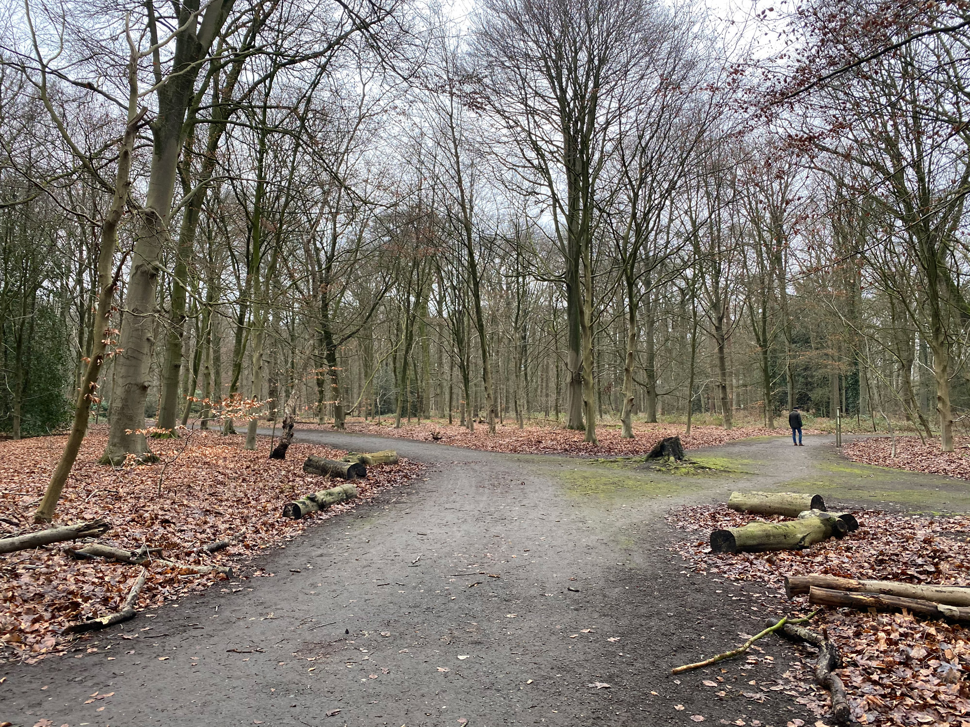 Wandelen in Noord-Brabant: Stiphoutse Bossen en langs de Goorloop