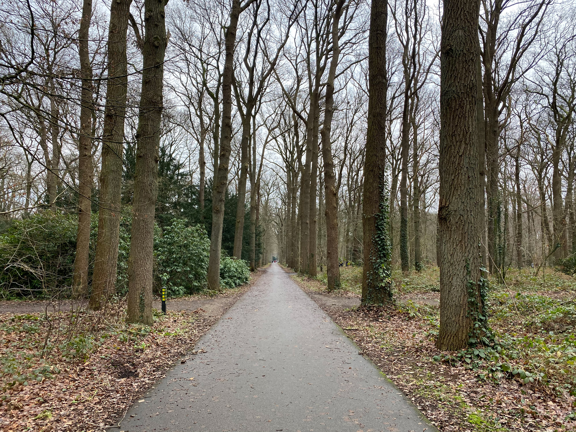 Wandelen in Noord-Brabant: Stiphoutse Bossen en langs de Goorloop