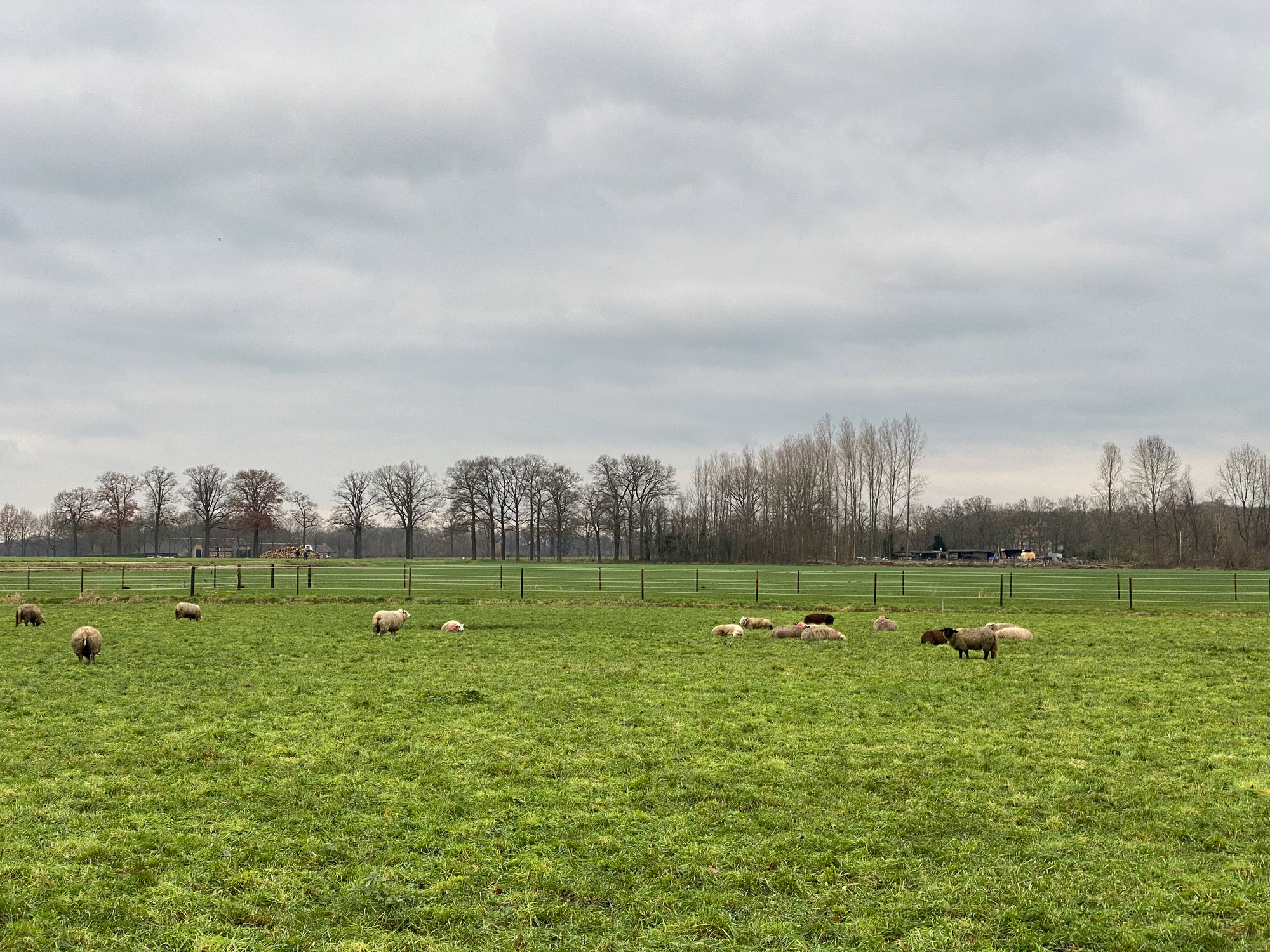 Wandelen in Noord-Brabant: Stiphoutse Bossen en langs de Goorloop