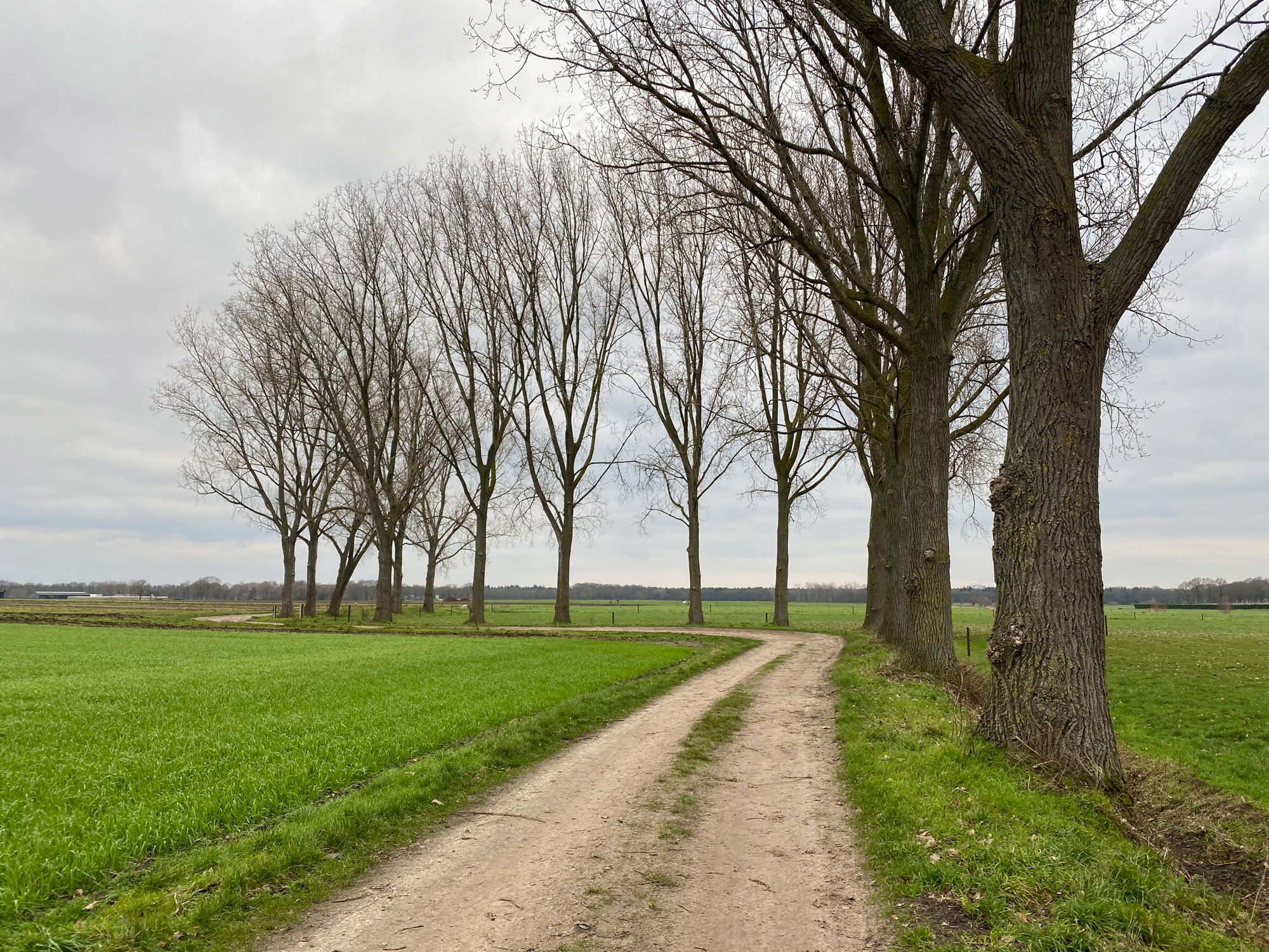 Wandelen in Noord-Brabant: Stiphoutse Bossen en langs de Goorloop