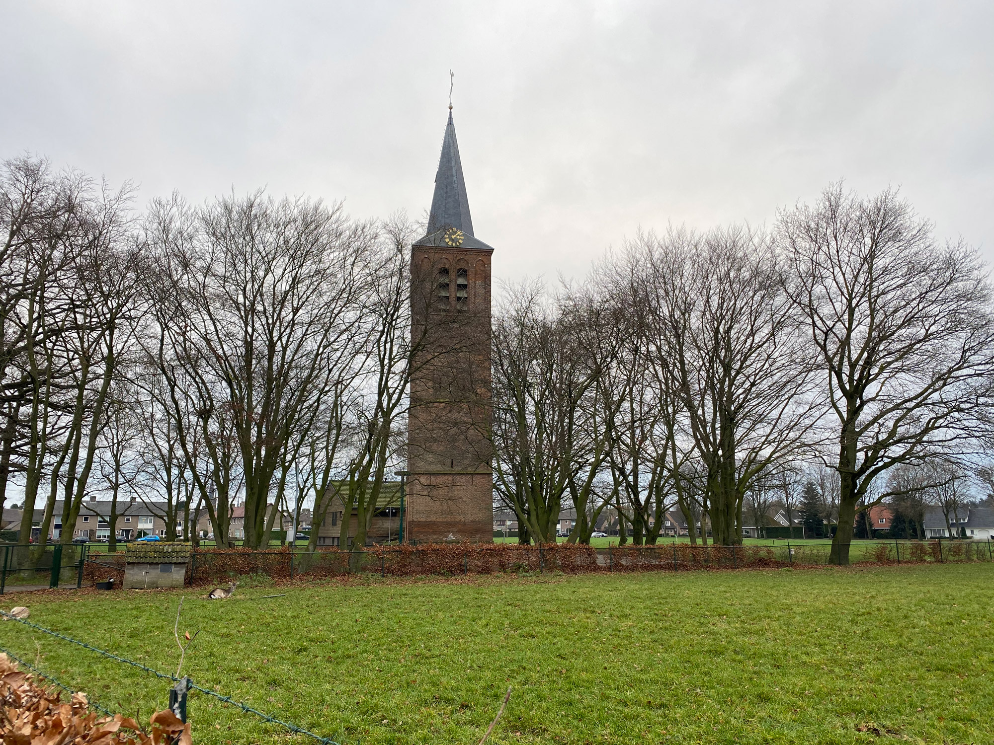 Wandelen in Noord-Brabant: Stiphoutse Bossen en langs de Goorloop