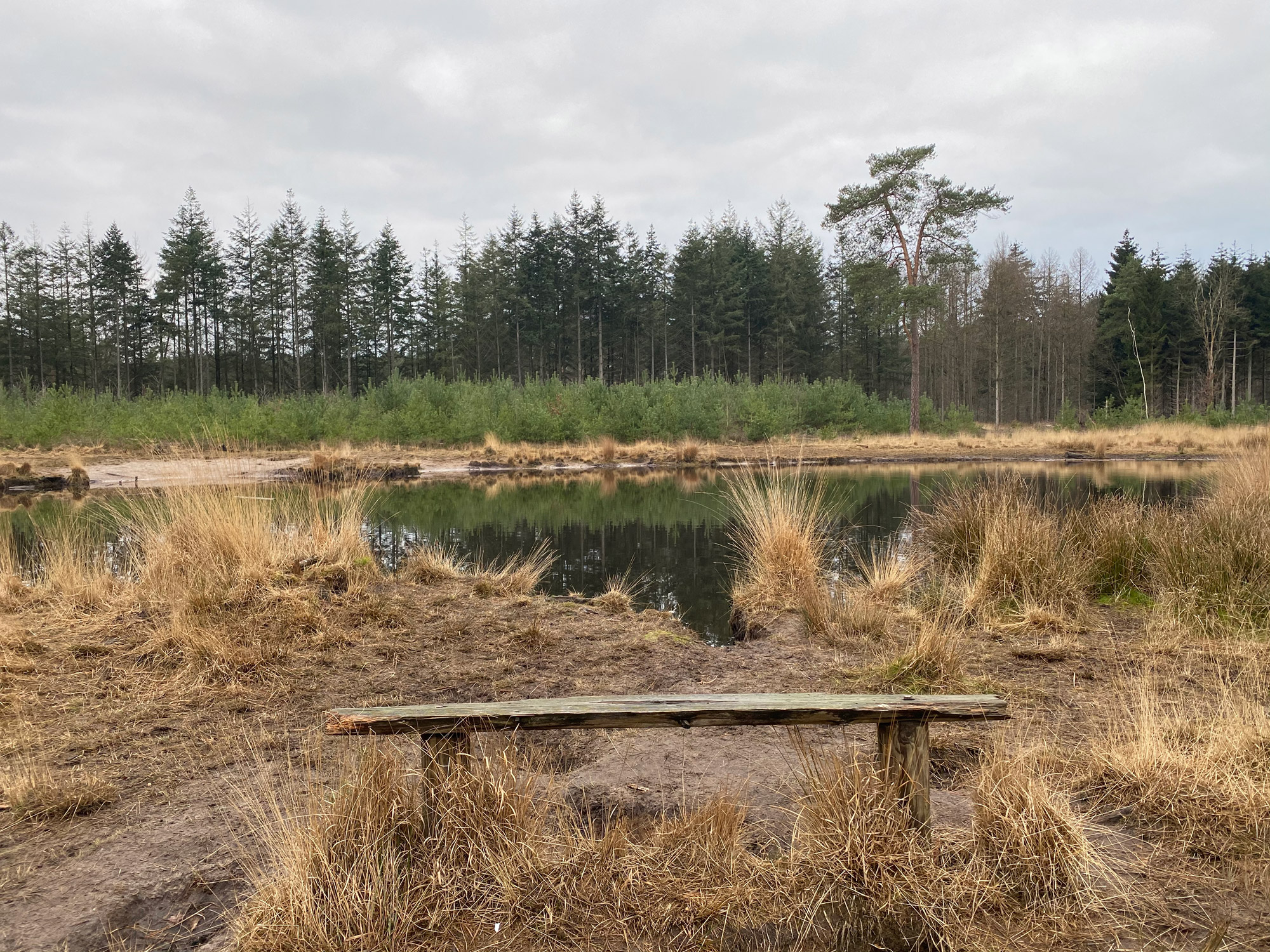 Wandelen in Noord-Brabant: Stiphoutse Bossen en langs de Goorloop