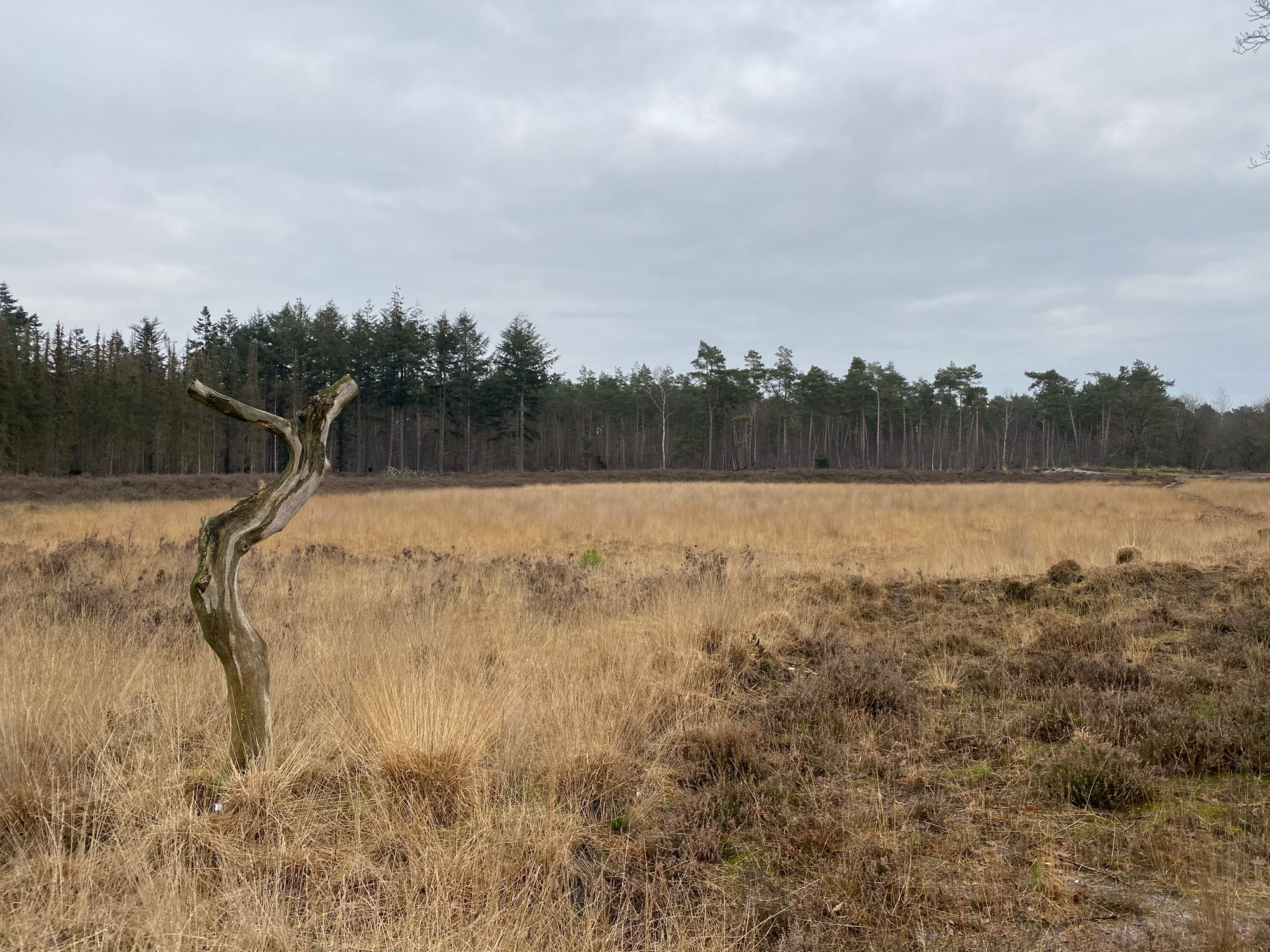 Wandelen in Noord-Brabant: Stiphoutse Bossen en langs de Goorloop