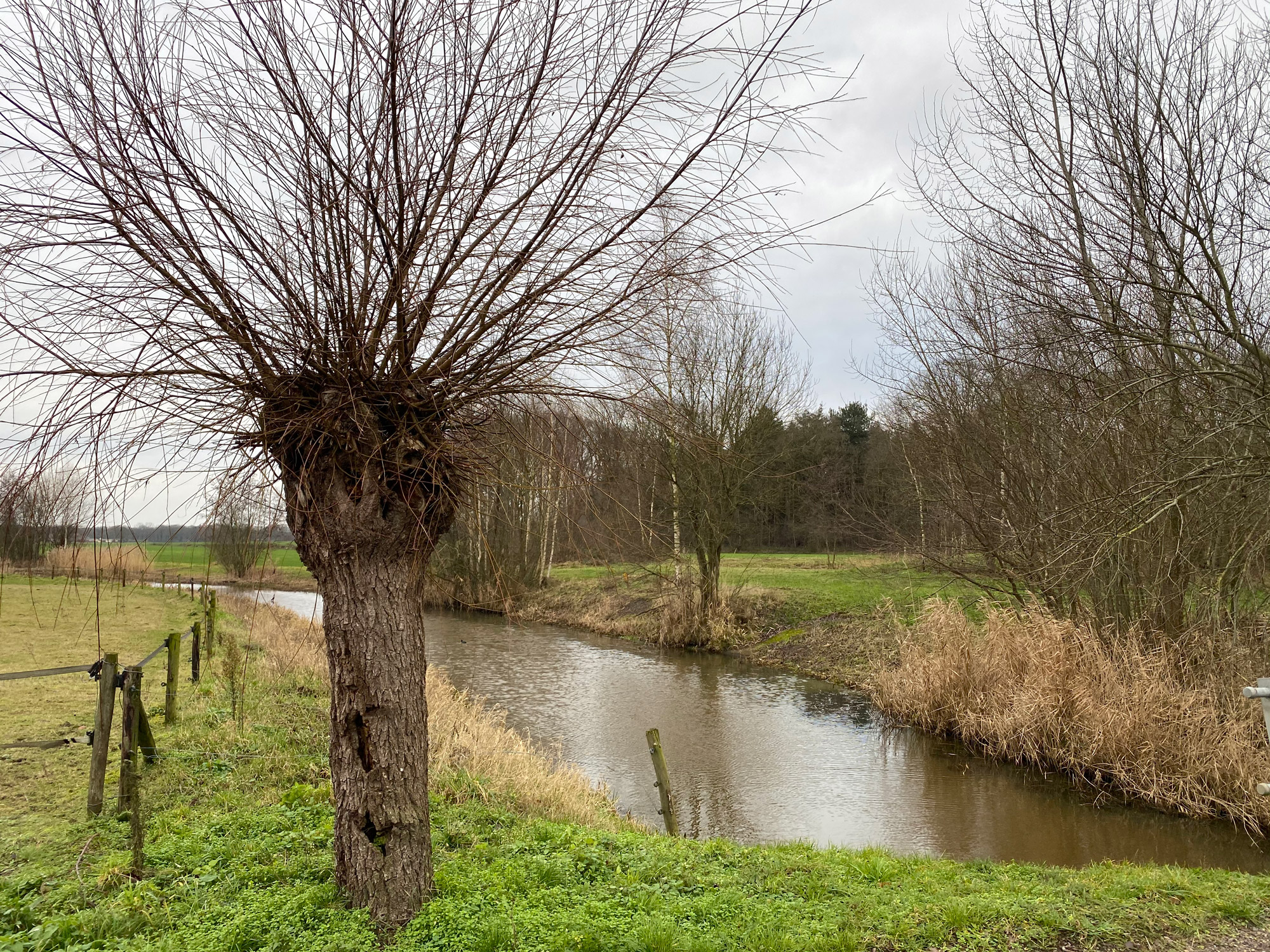 Wandelen in Noord-Brabant: Stiphoutse Bossen en langs de Goorloop