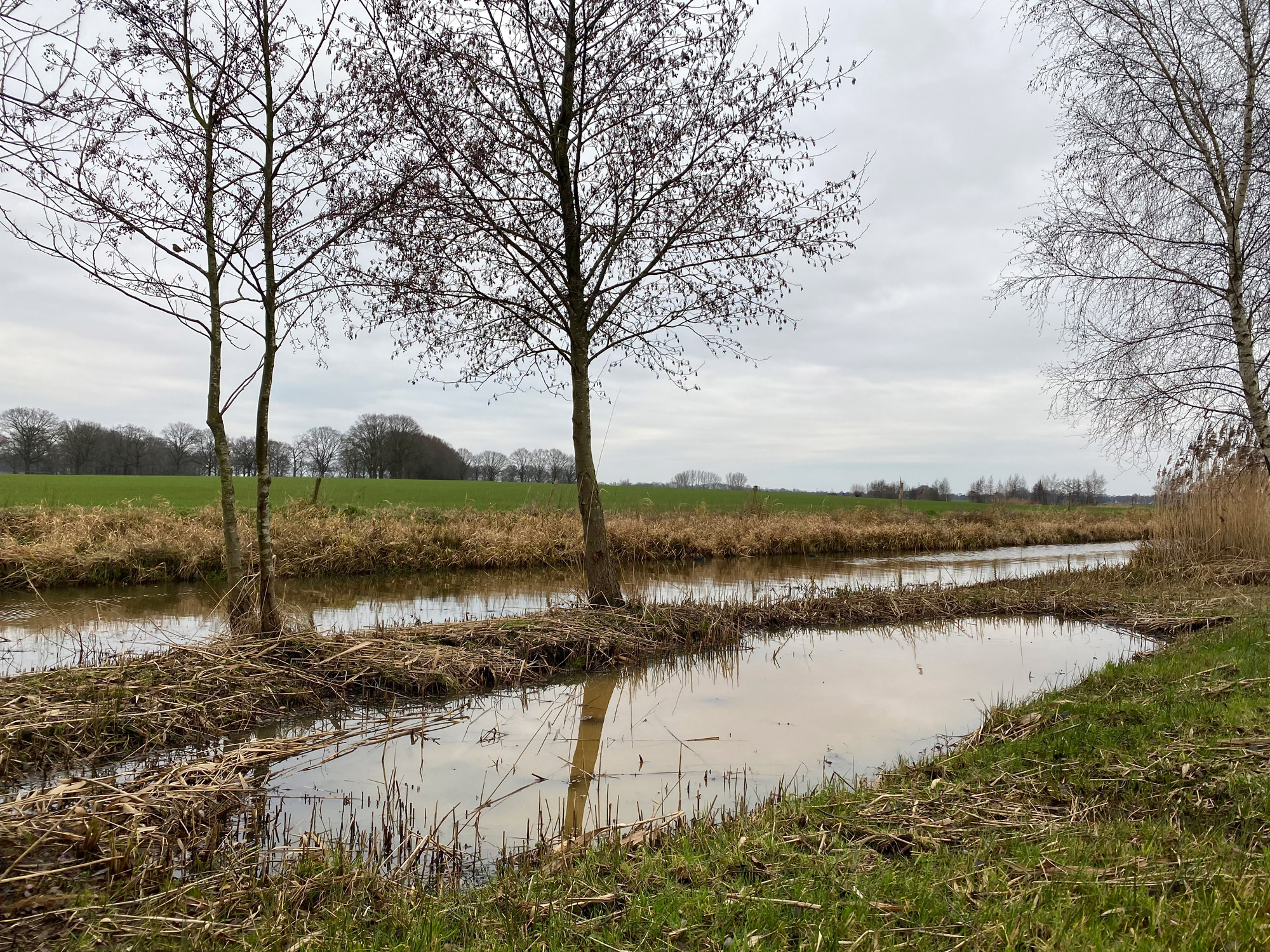 Wandelen in Noord-Brabant: Stiphoutse Bossen en langs de Goorloop