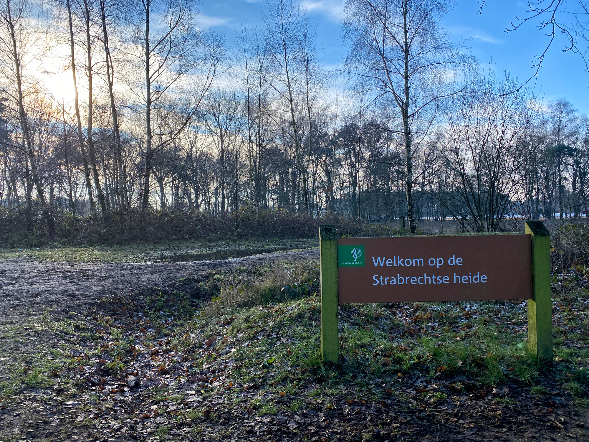 Wandeling: Winterse wandeling over de Strabrechtse Heide