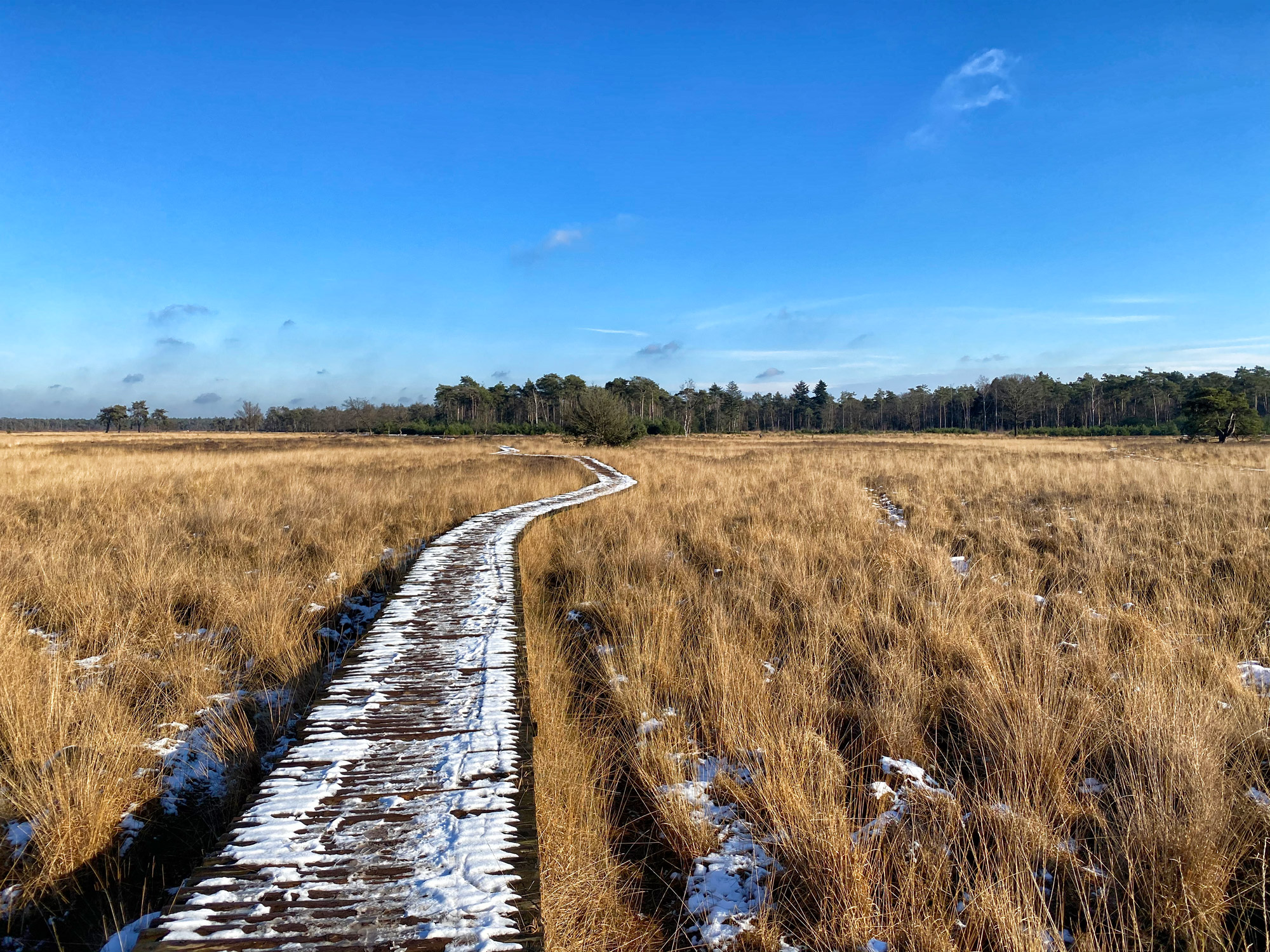 Wandeling: Winterse wandeling over de Strabrechtse Heide