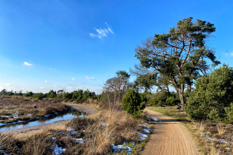 Wandeling: Winterse wandeling over de Strabrechtse Heide