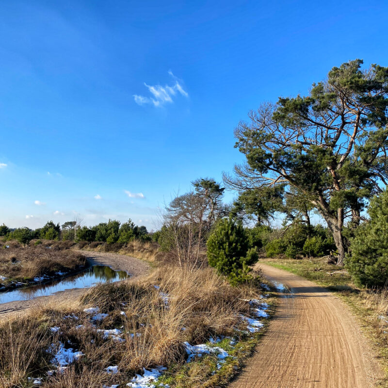 Wandelen in Noord-Brabant: Winterse wandeling op de Strabrechtse Heide