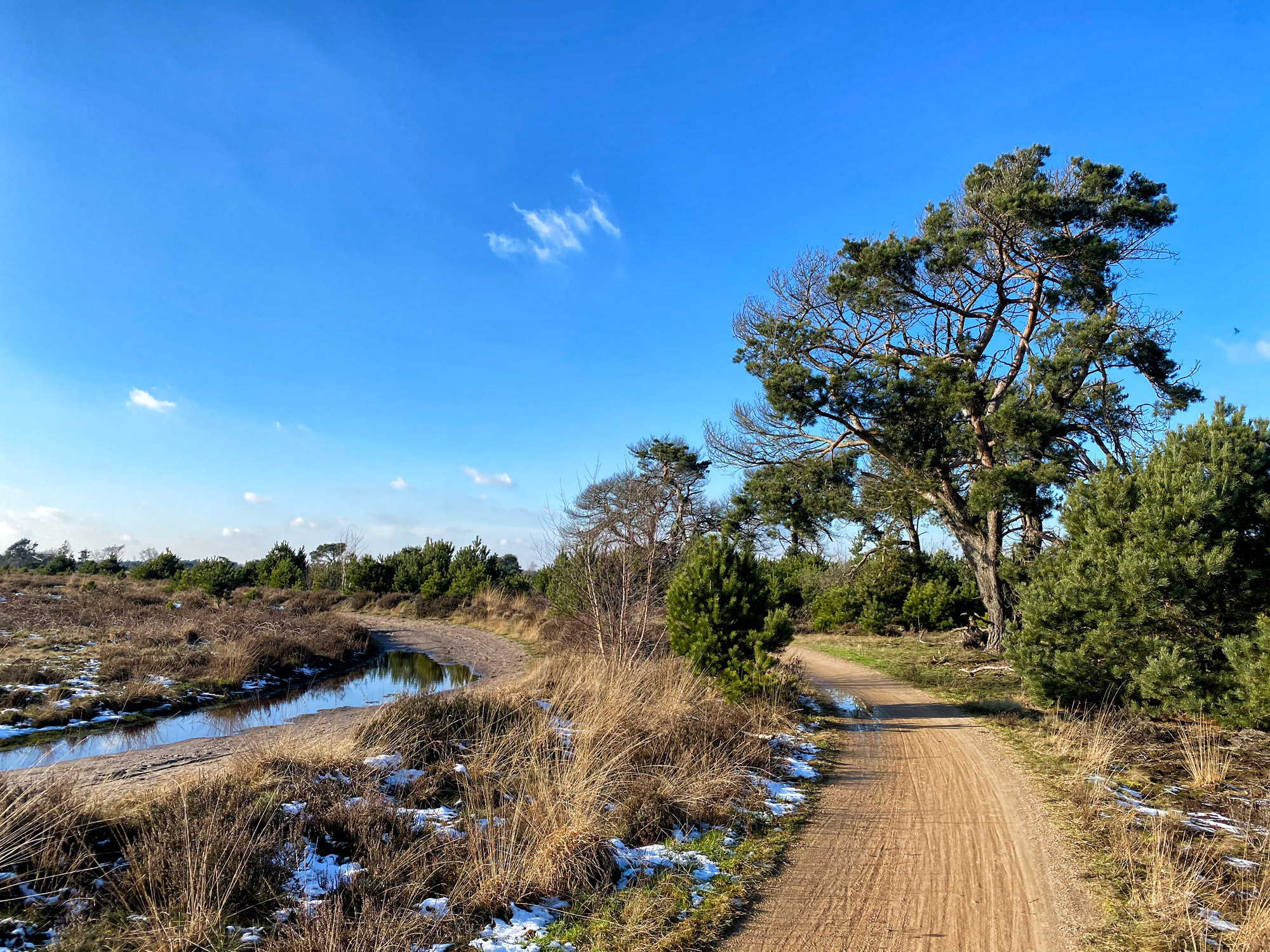 Wandeling: Winterse wandeling over de Strabrechtse Heide