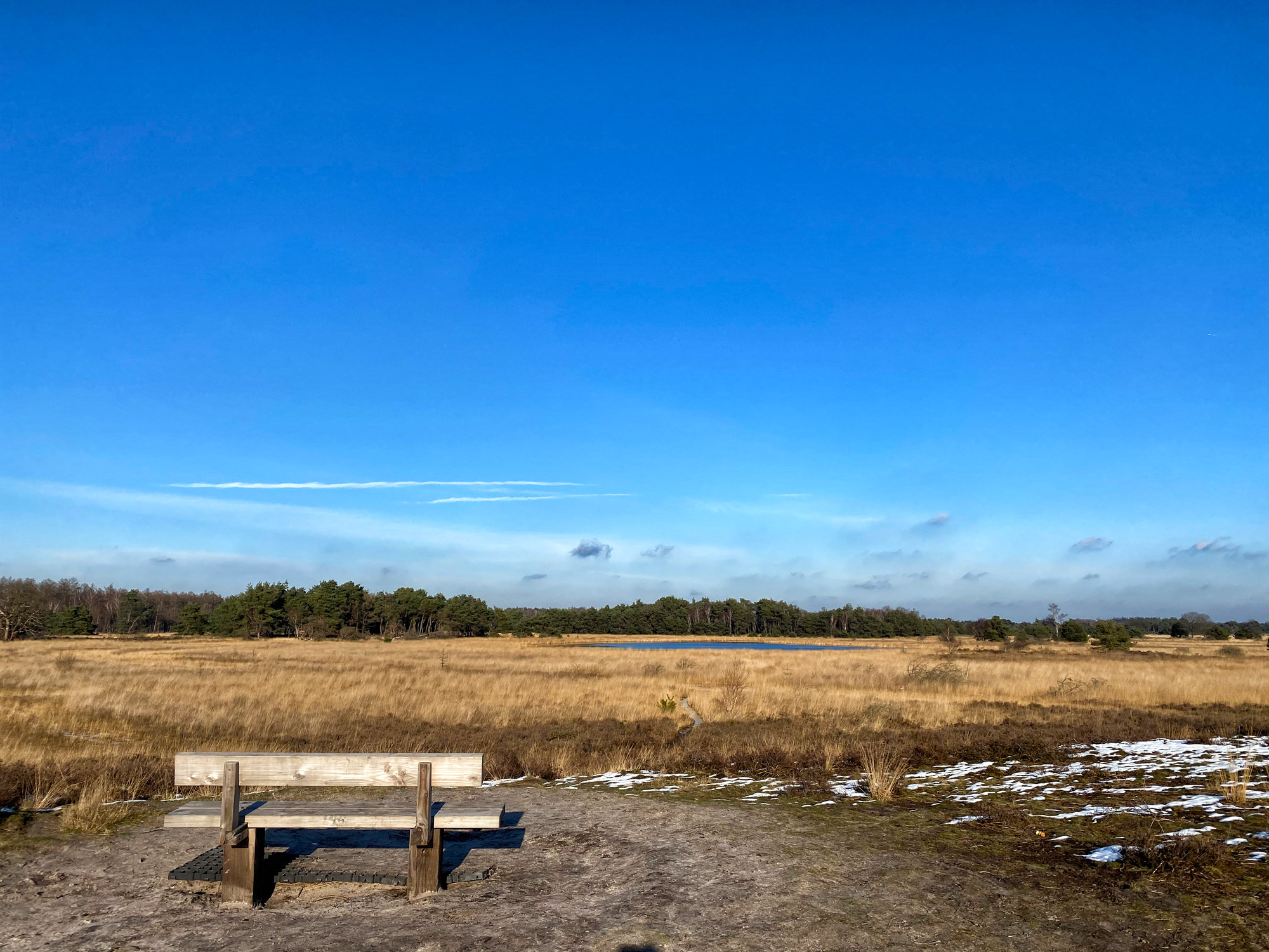 Wandeling: Winterse wandeling over de Strabrechtse Heide