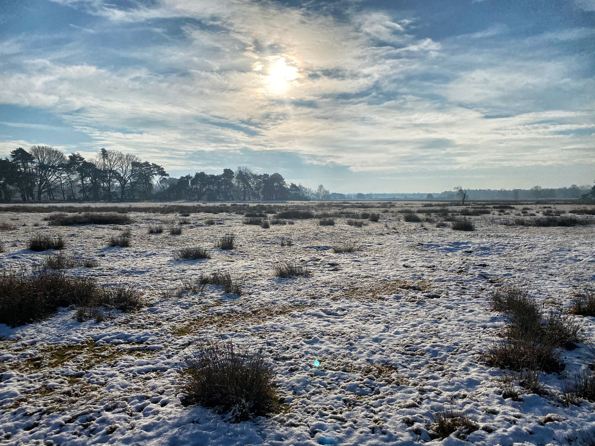 Wandeling: Winterse wandeling over de Strabrechtse Heide