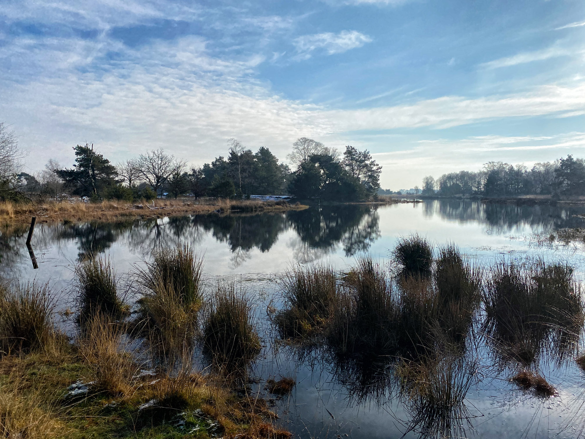 Wandeling: Winterse wandeling over de Strabrechtse Heide