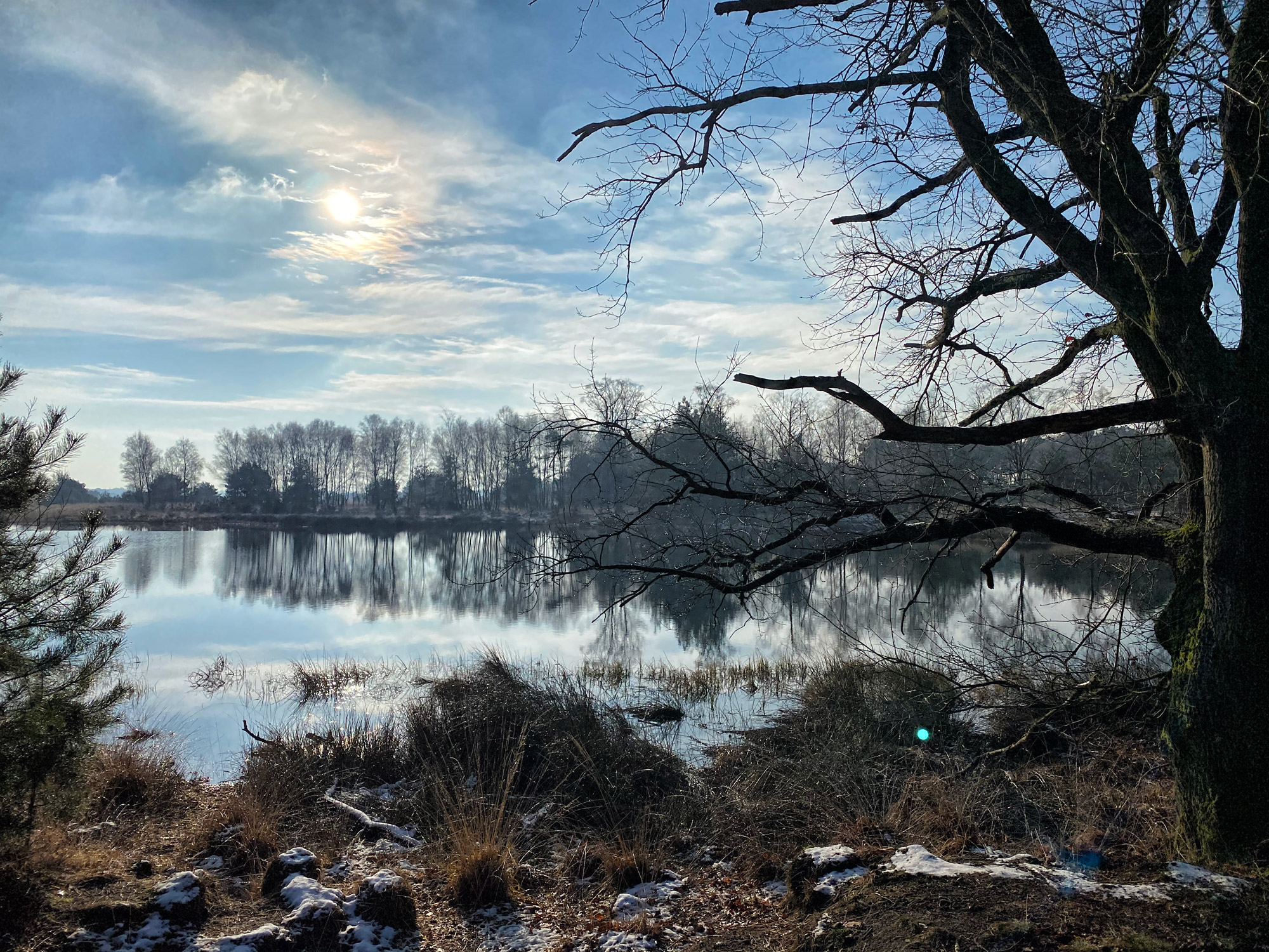 Wandeling: Winterse wandeling over de Strabrechtse Heide