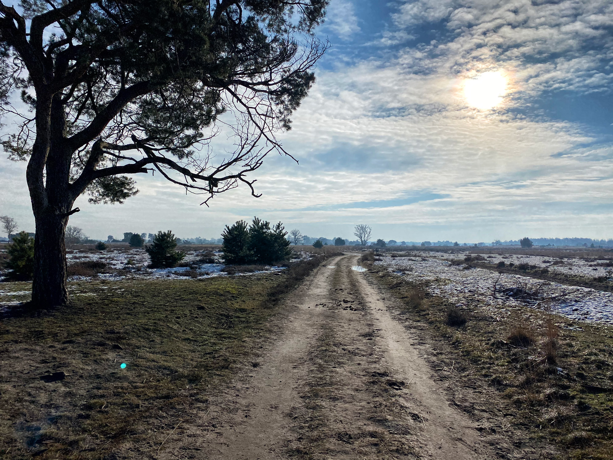 Wandeling: Winterse wandeling over de Strabrechtse Heide