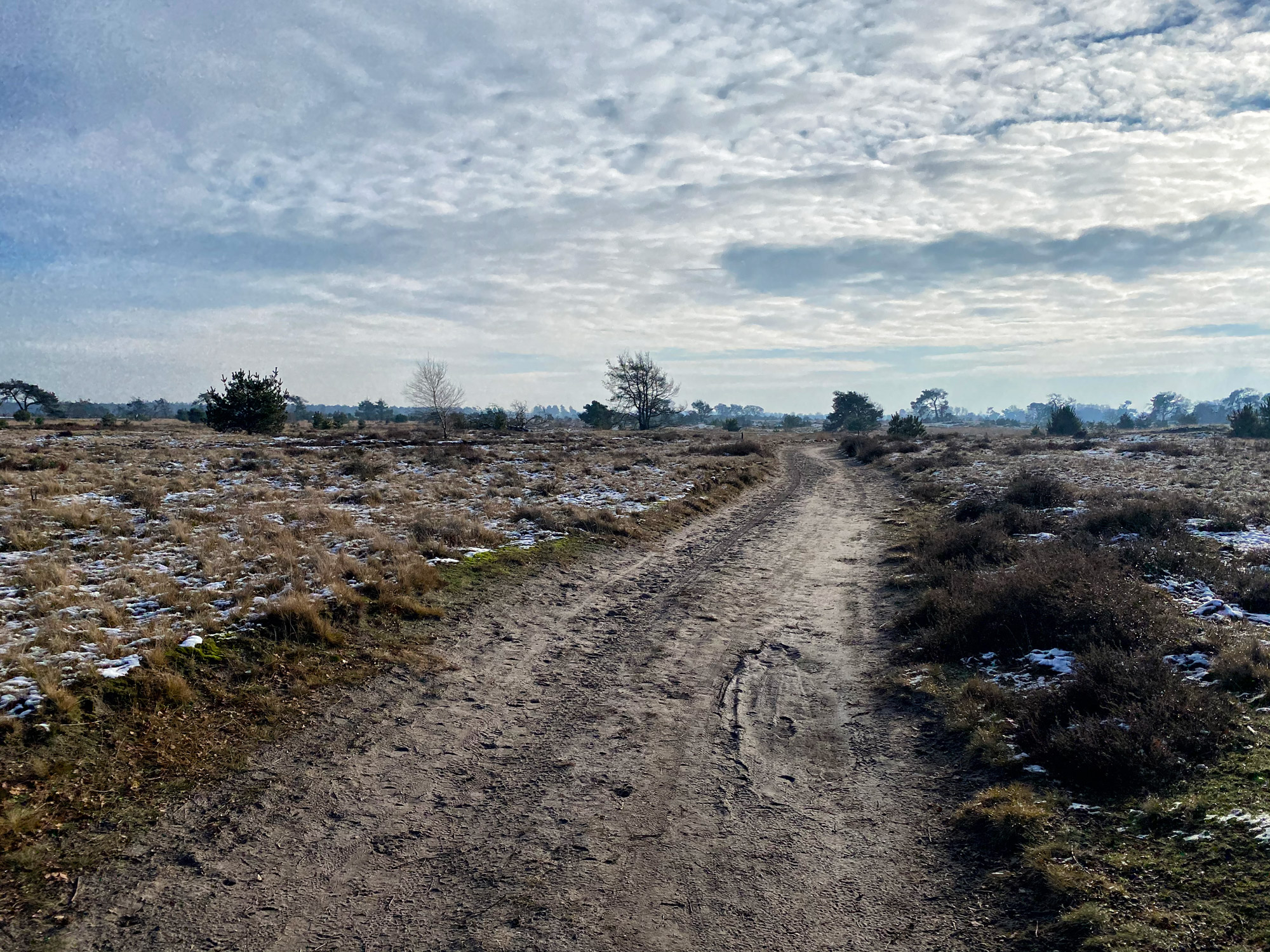 Wandeling: Winterse wandeling over de Strabrechtse Heide