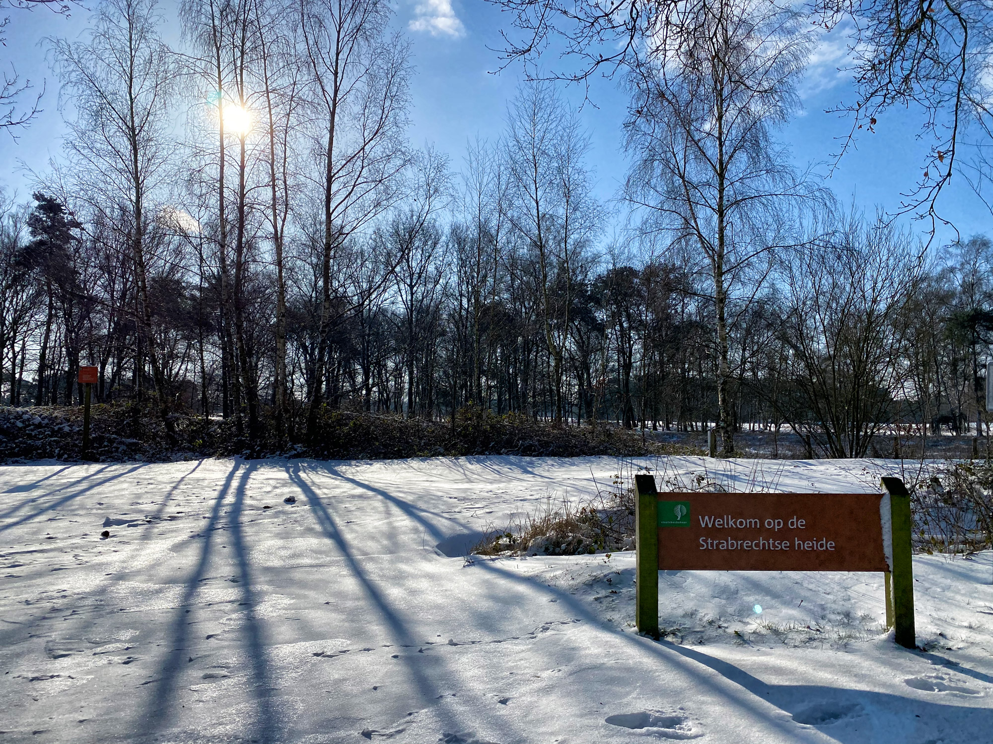 Wandeling: Winterse wandeling over de Strabrechtse Heide in de sneeuw