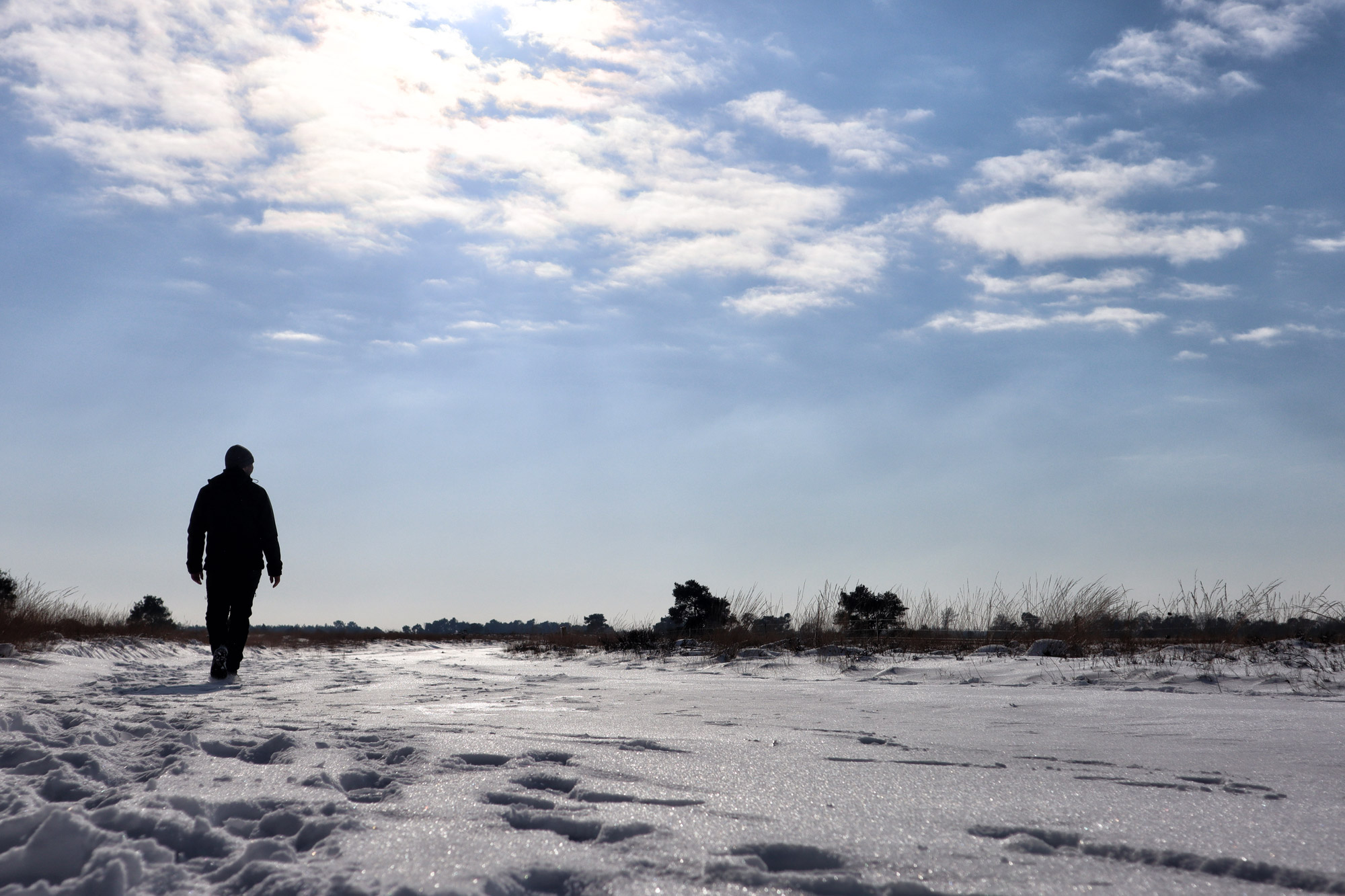 Wandeling: Winterse wandeling over de Strabrechtse Heide in de sneeuw