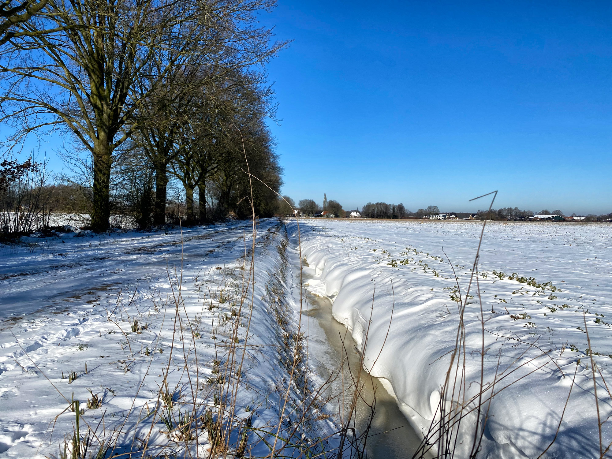 Wandelen in Noord-Brabant: Houtvesters- tot Flaestoren in Landgoed de Utrecht