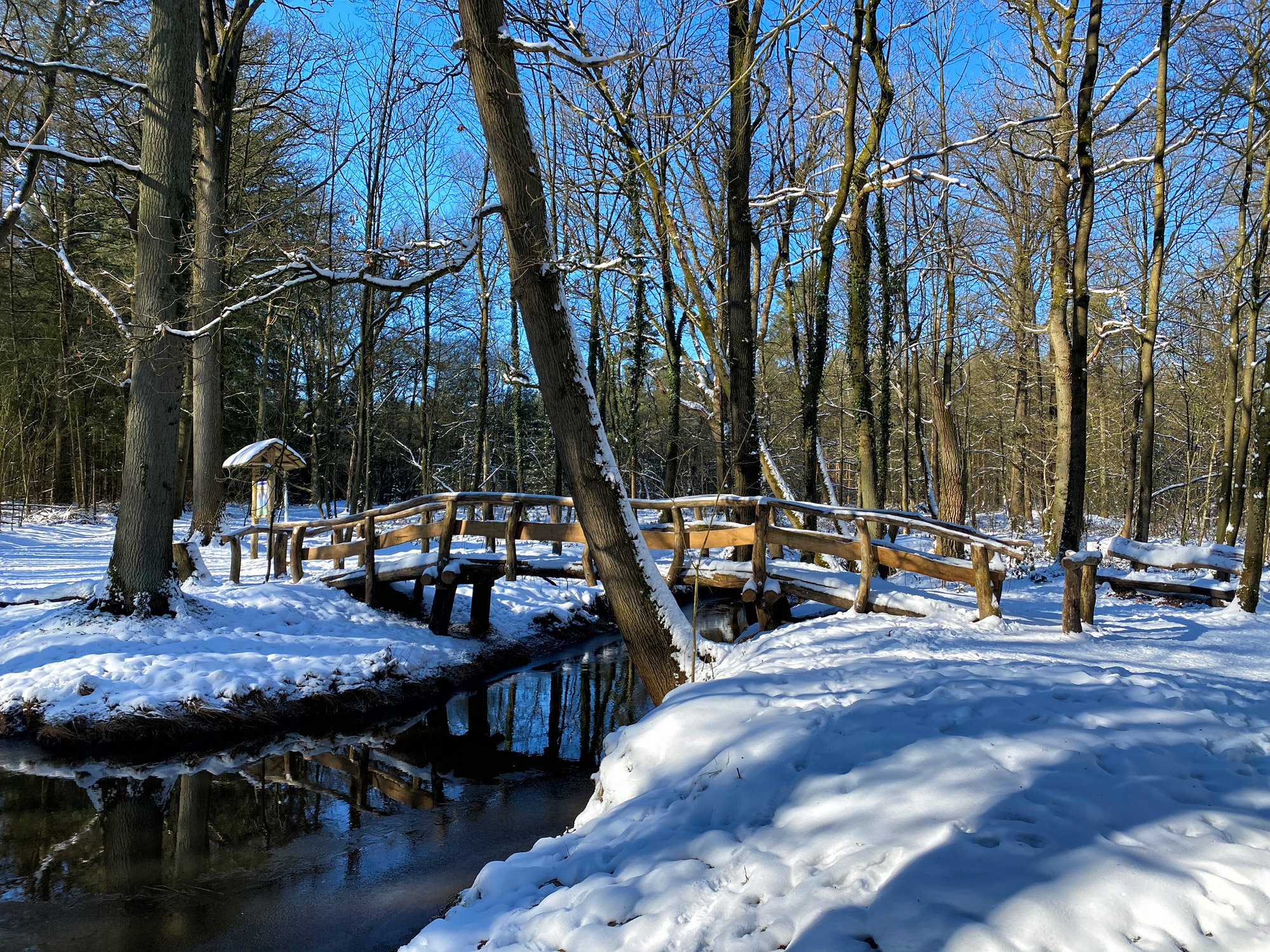 Wandelen in Noord-Brabant: Houtvesters- tot Flaestoren in Landgoed de Utrecht