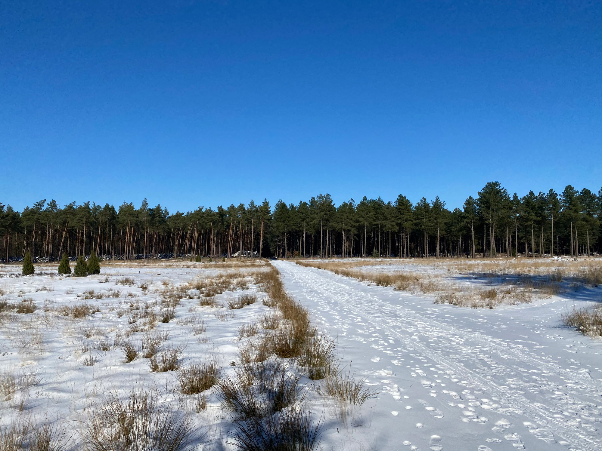 Wandelen in Noord-Brabant: Houtvesters- tot Flaestoren in Landgoed de Utrecht