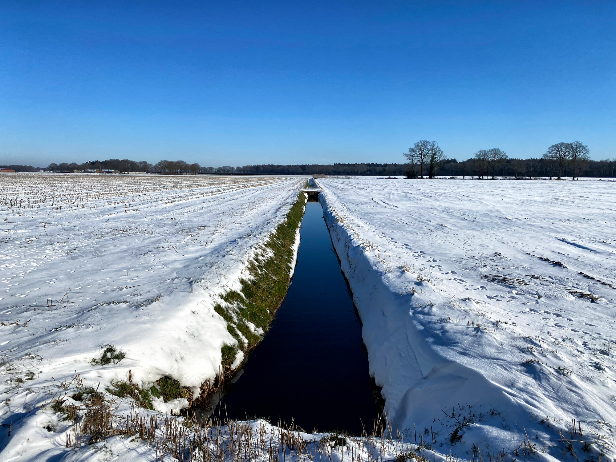 Wandelen in Noord-Brabant: Houtvesters- tot Flaestoren in Landgoed de Utrecht