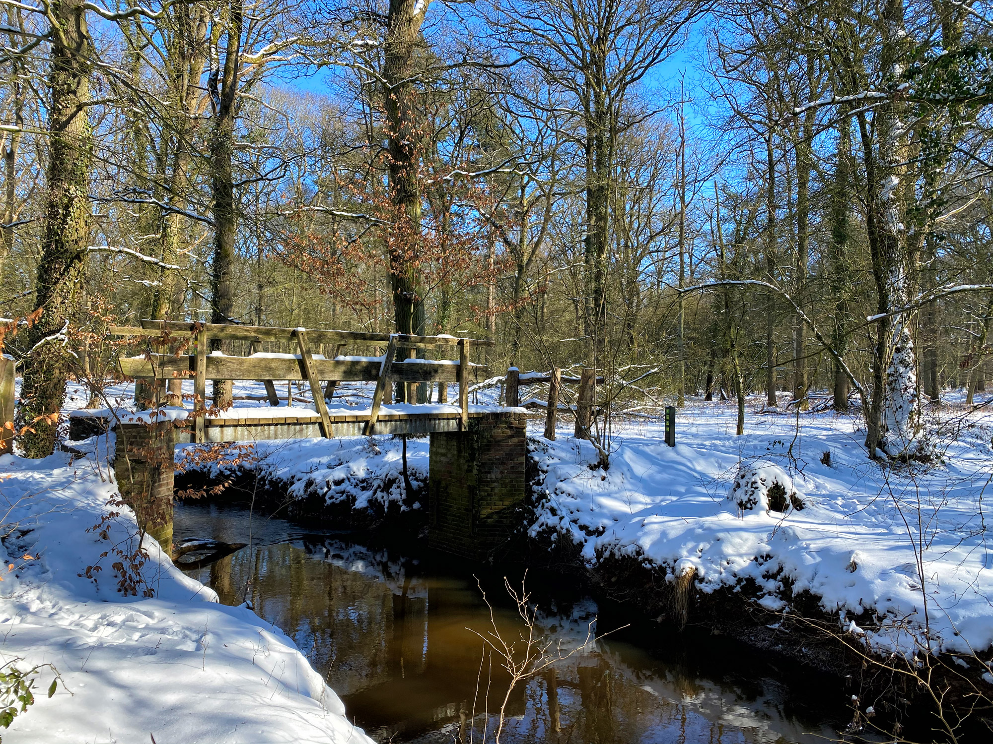 Wandelen in Noord-Brabant: Houtvesters- tot Flaestoren in Landgoed de Utrecht