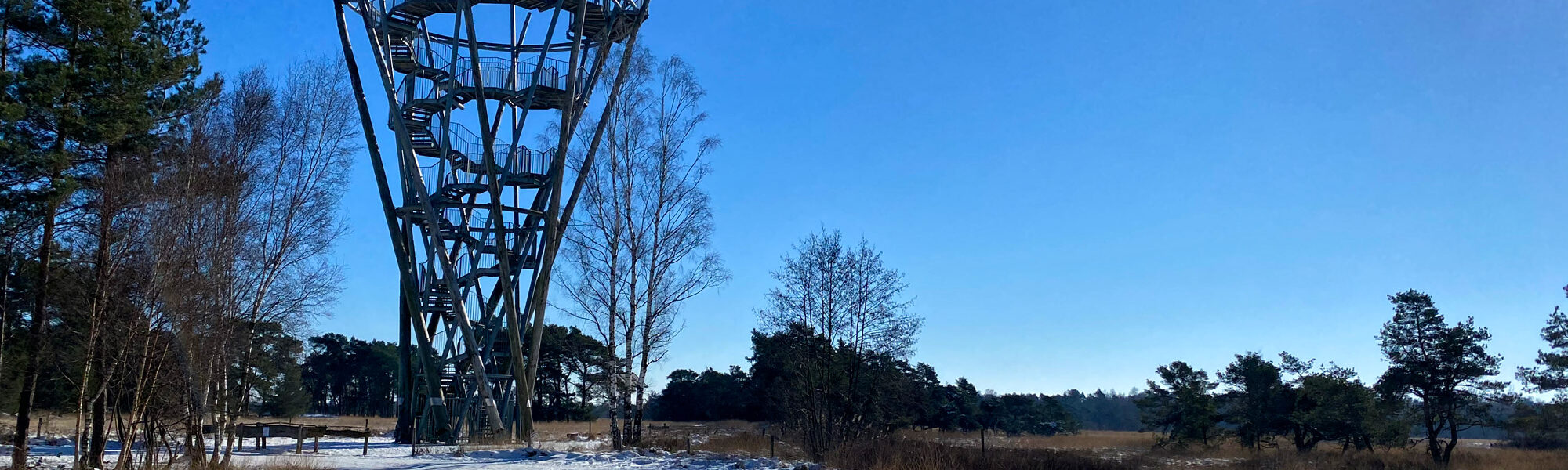 Wandelen in Noord-Brabant: Houtvesters- tot Flaestoren in Landgoed de Utrecht