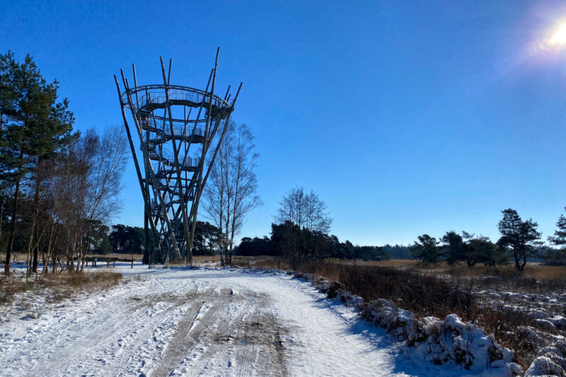 Wandelen in Noord-Brabant: Houtvesters- tot Flaestoren in Landgoed de Utrecht